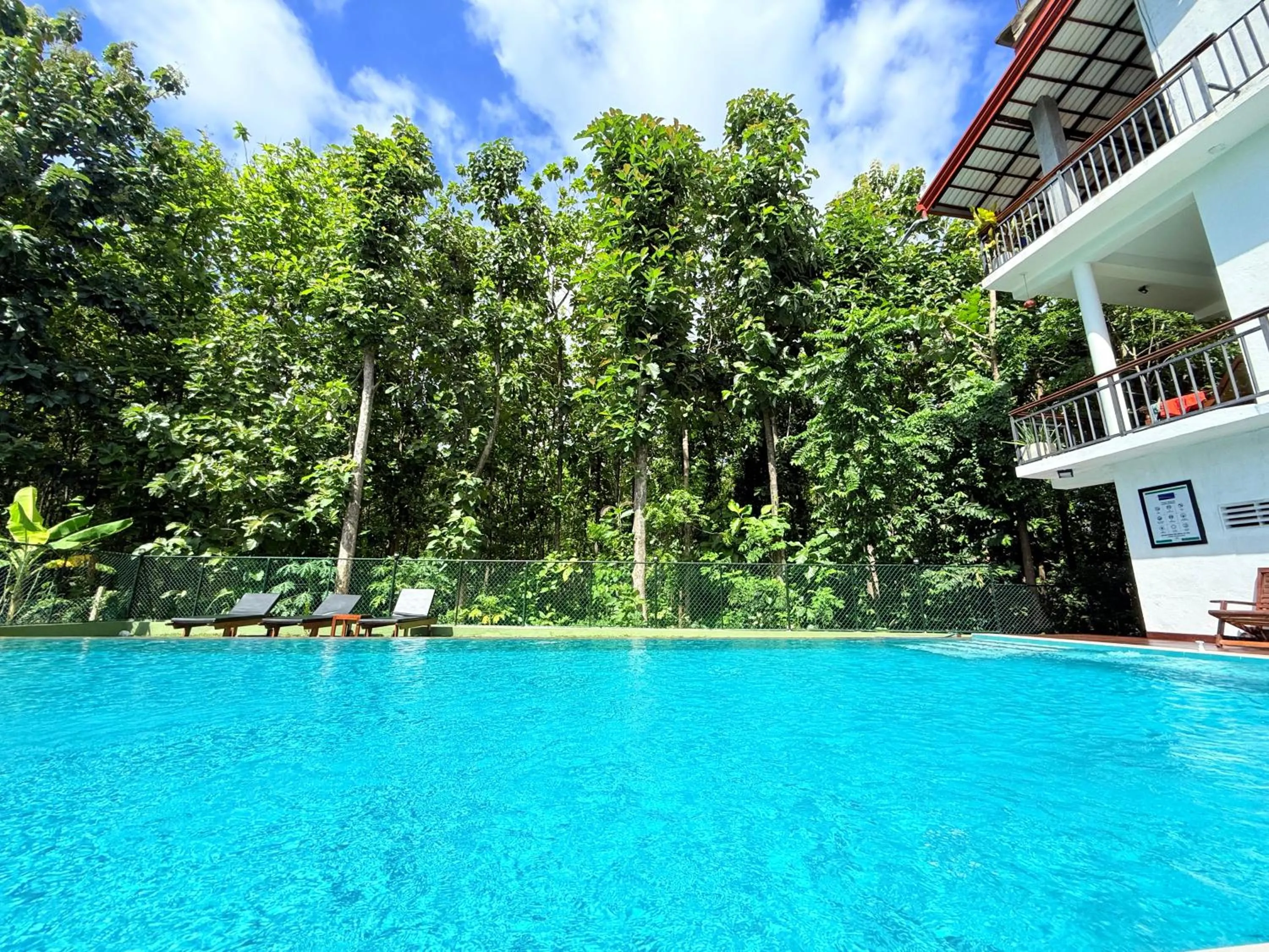 Swimming pool in Nature House