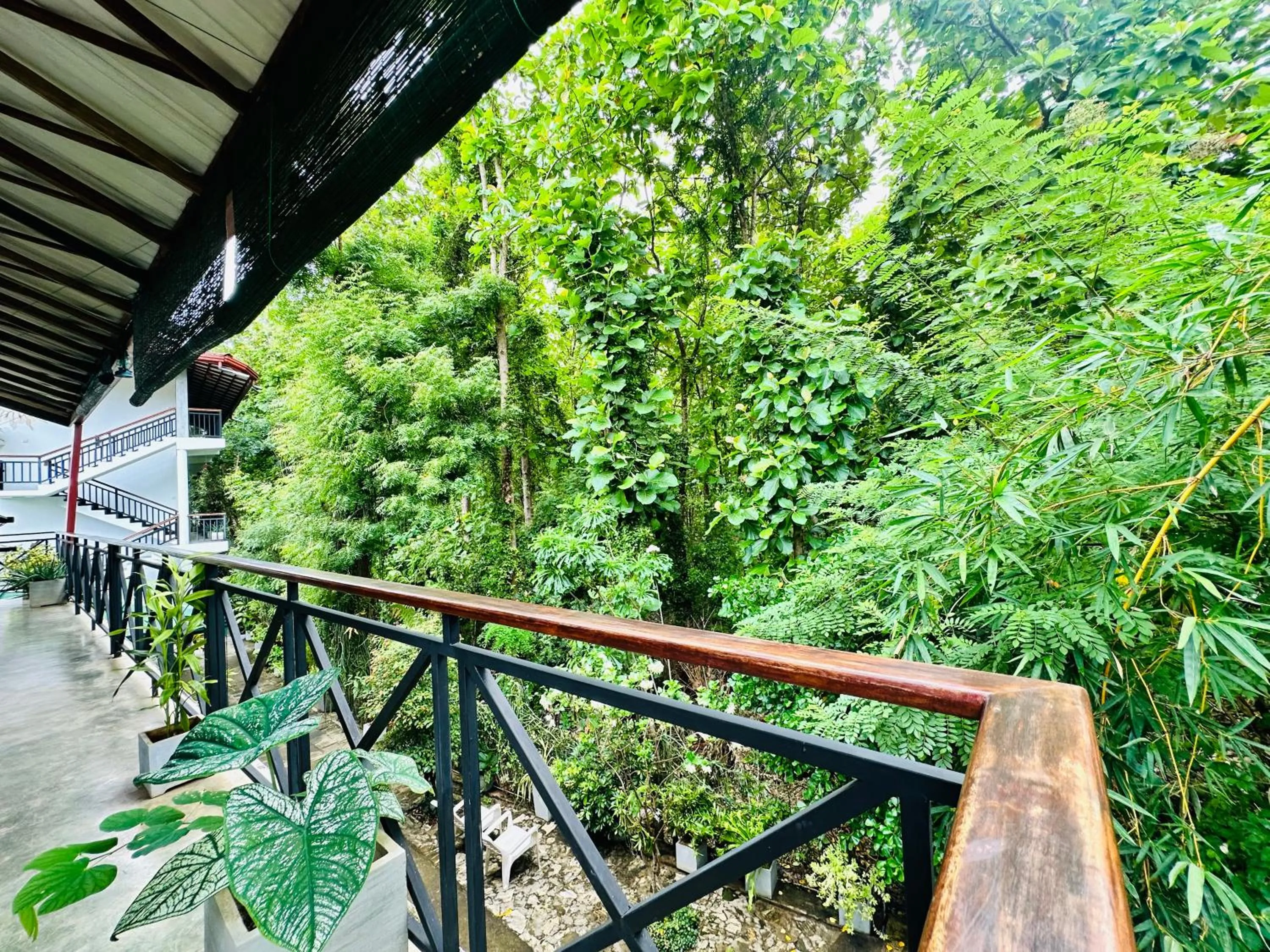 Natural landscape in Nature House