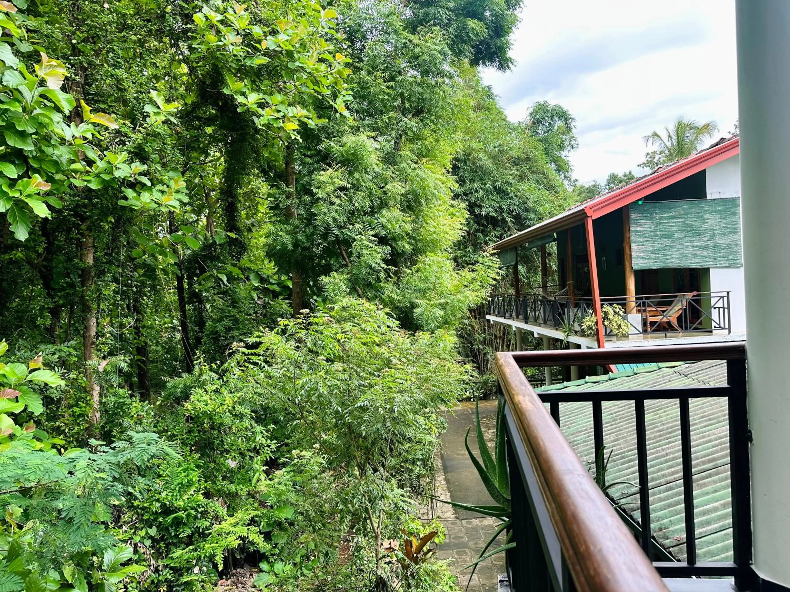 Garden in Nature House