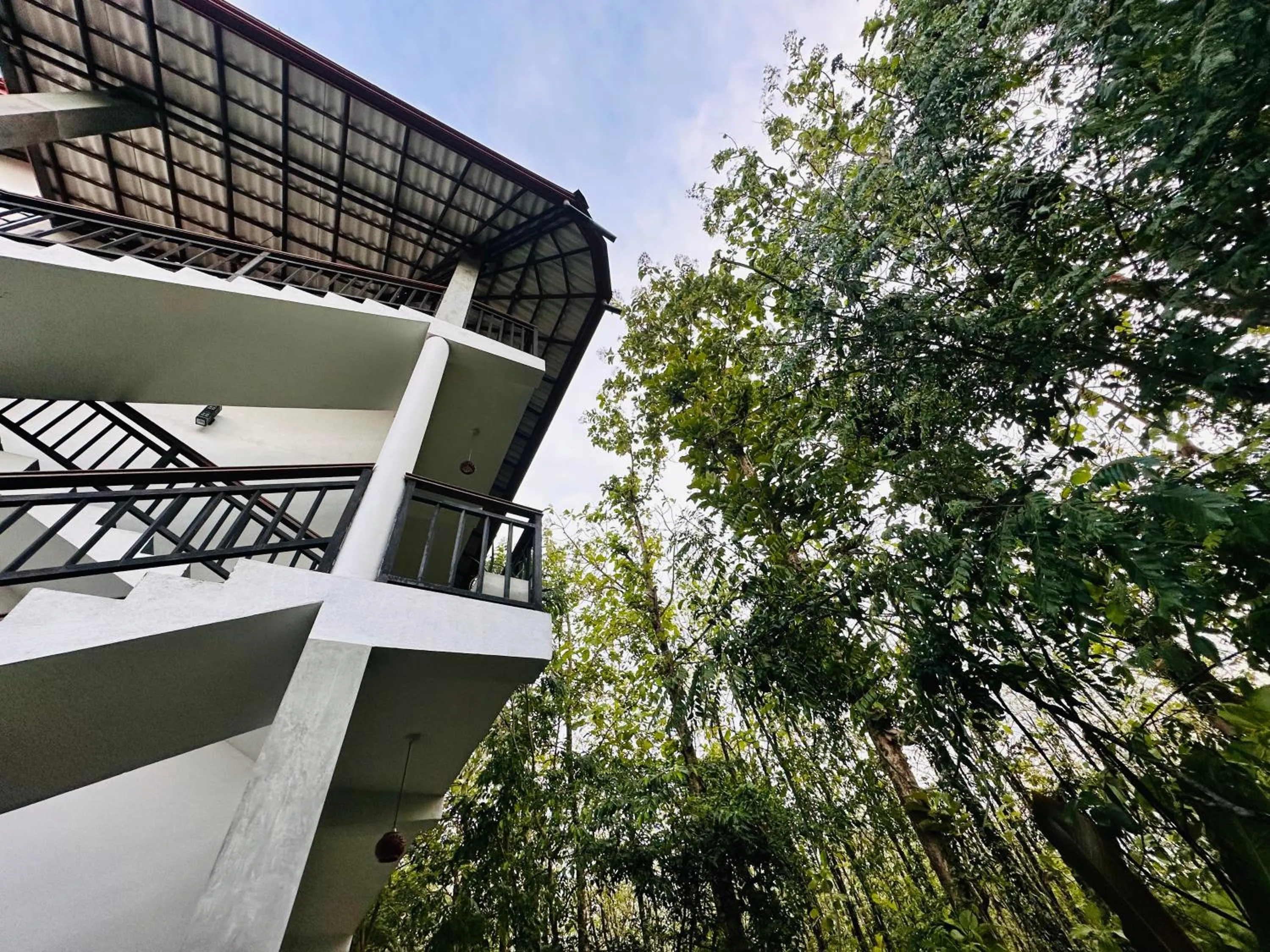 Property building in Nature House