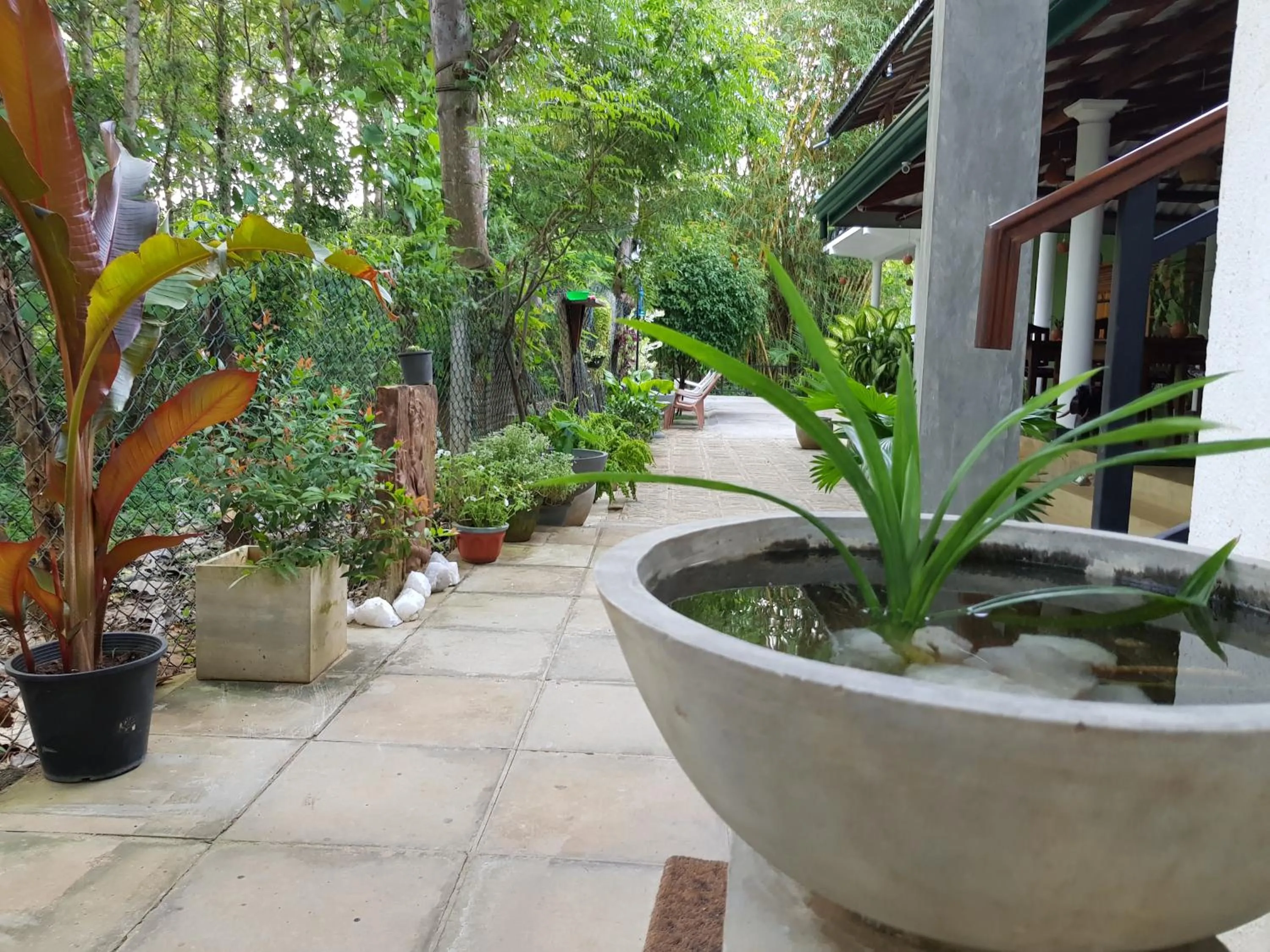 Balcony/Terrace in Nature House