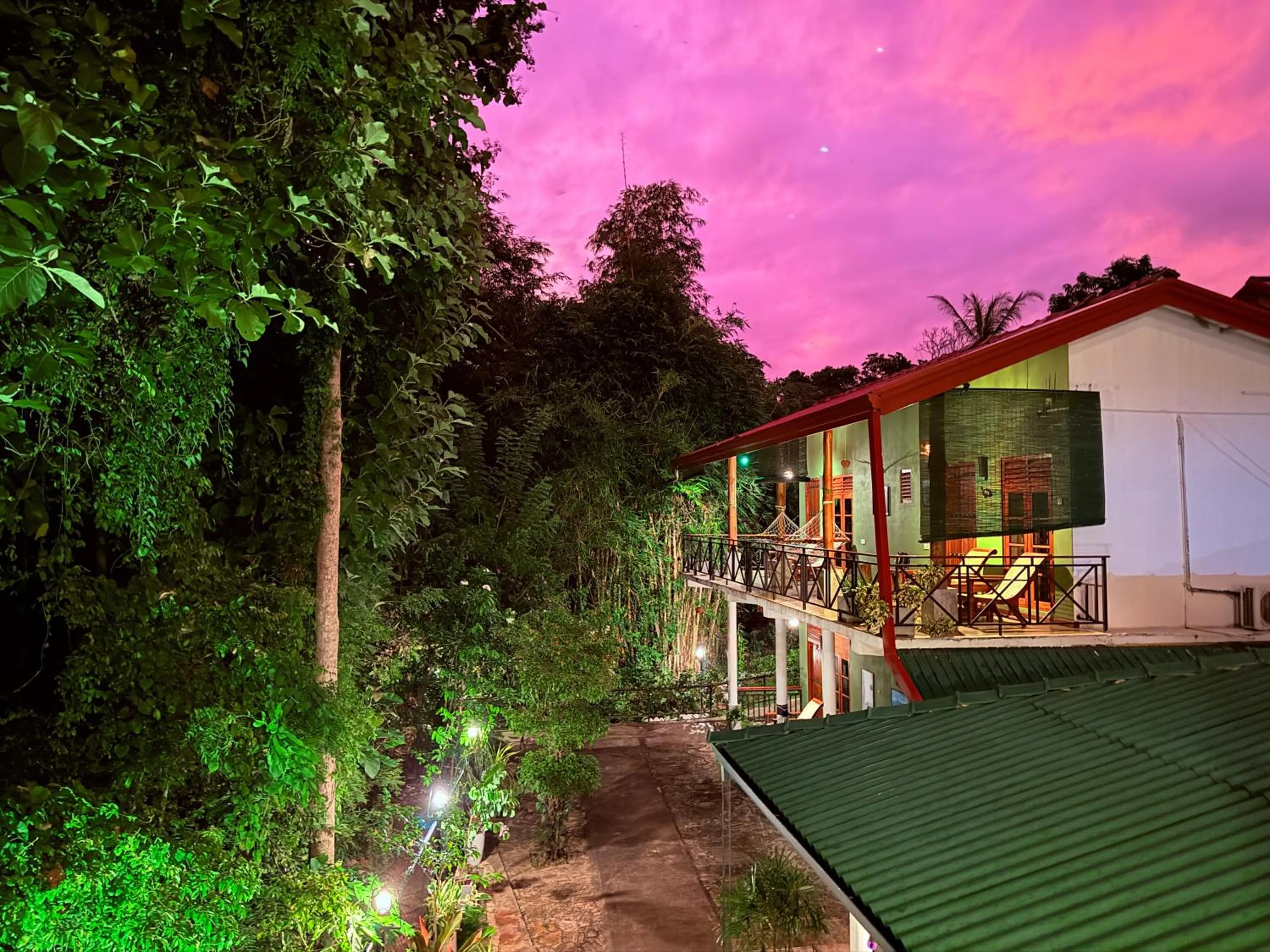 Property building in Nature House