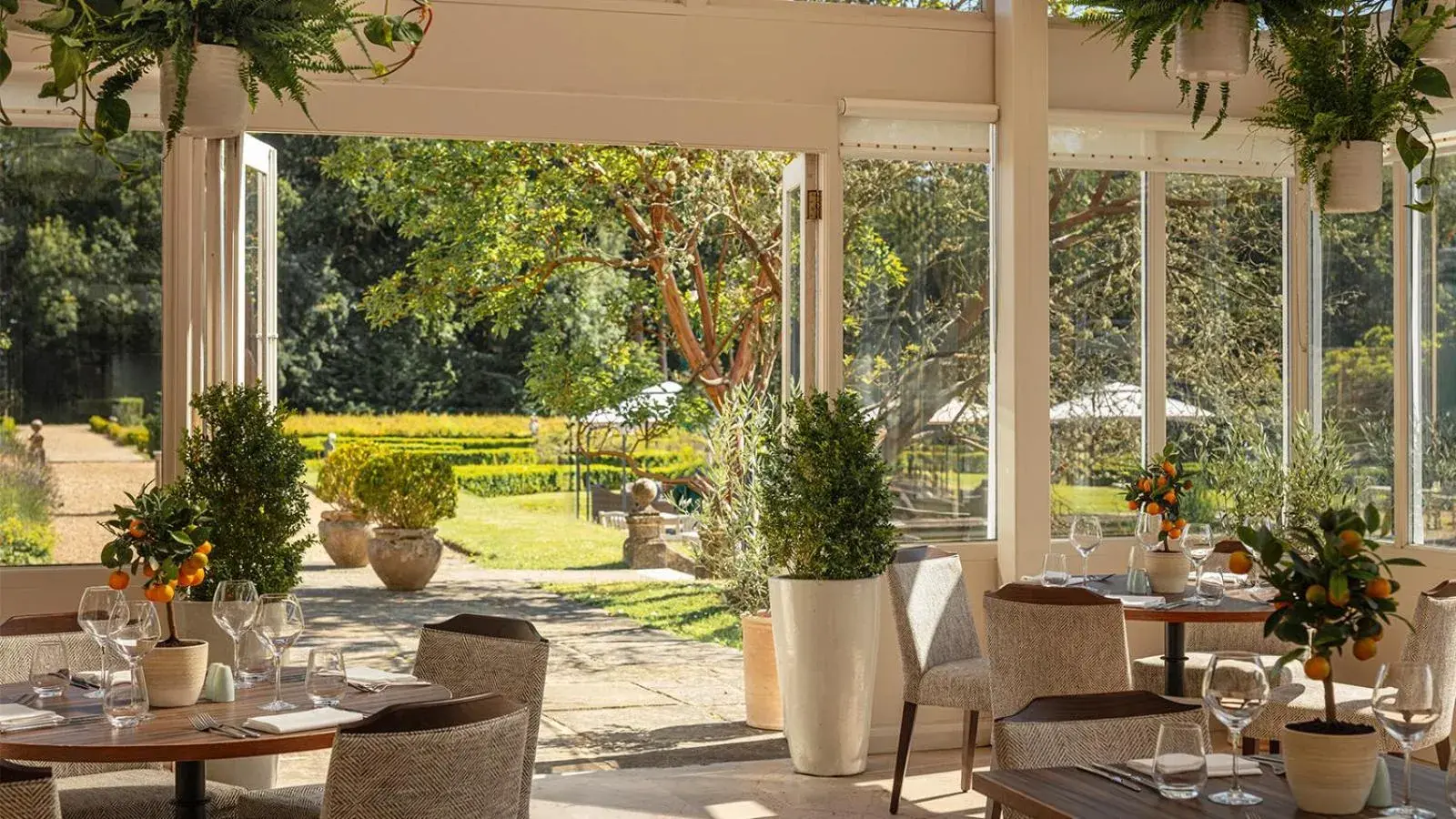 Restaurant/places to eat in Rhinefield House Hotel Restaurant/places to eat in Rhinefield House Hotel