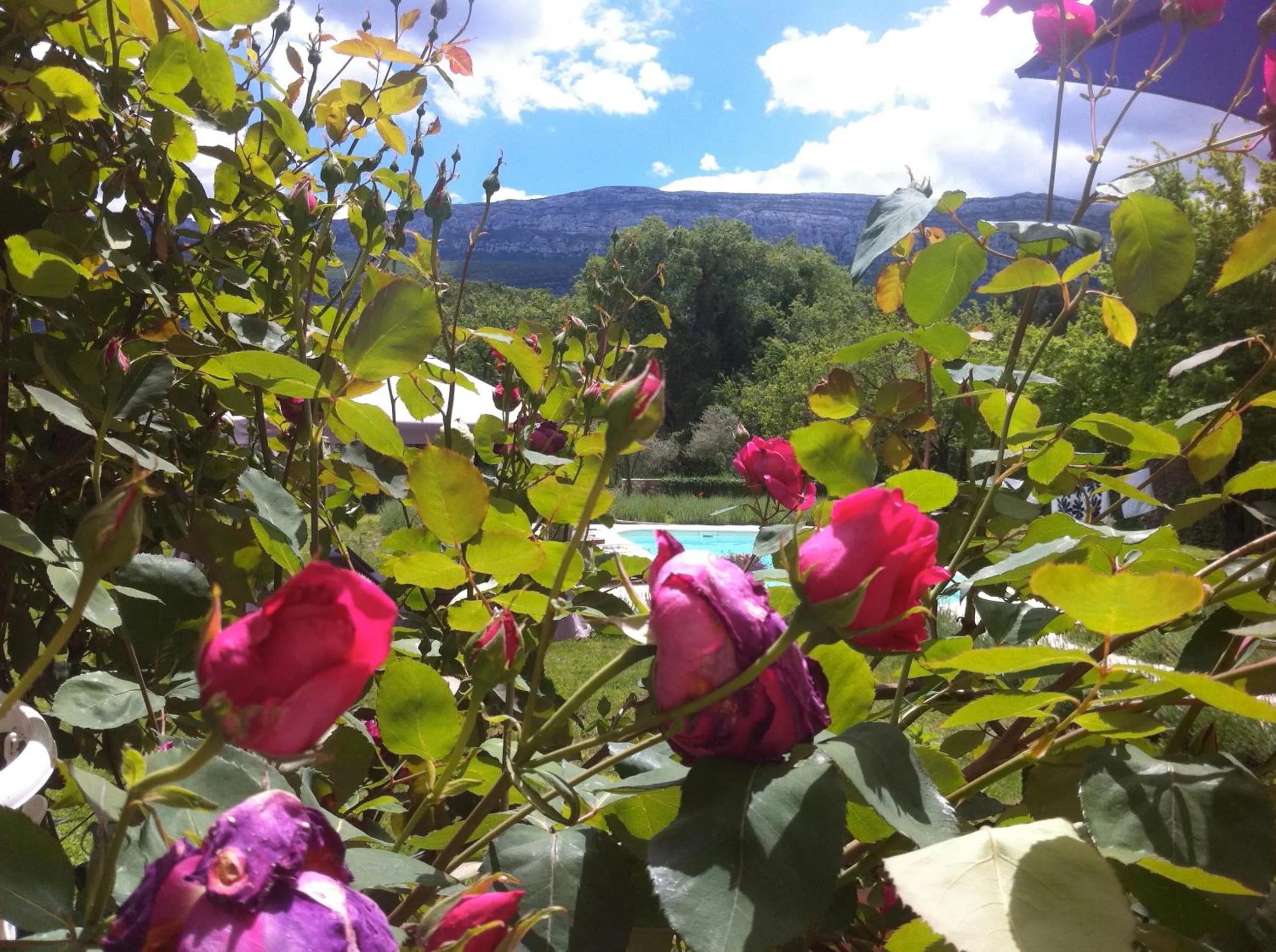Spring in La Grande Maison De Nans