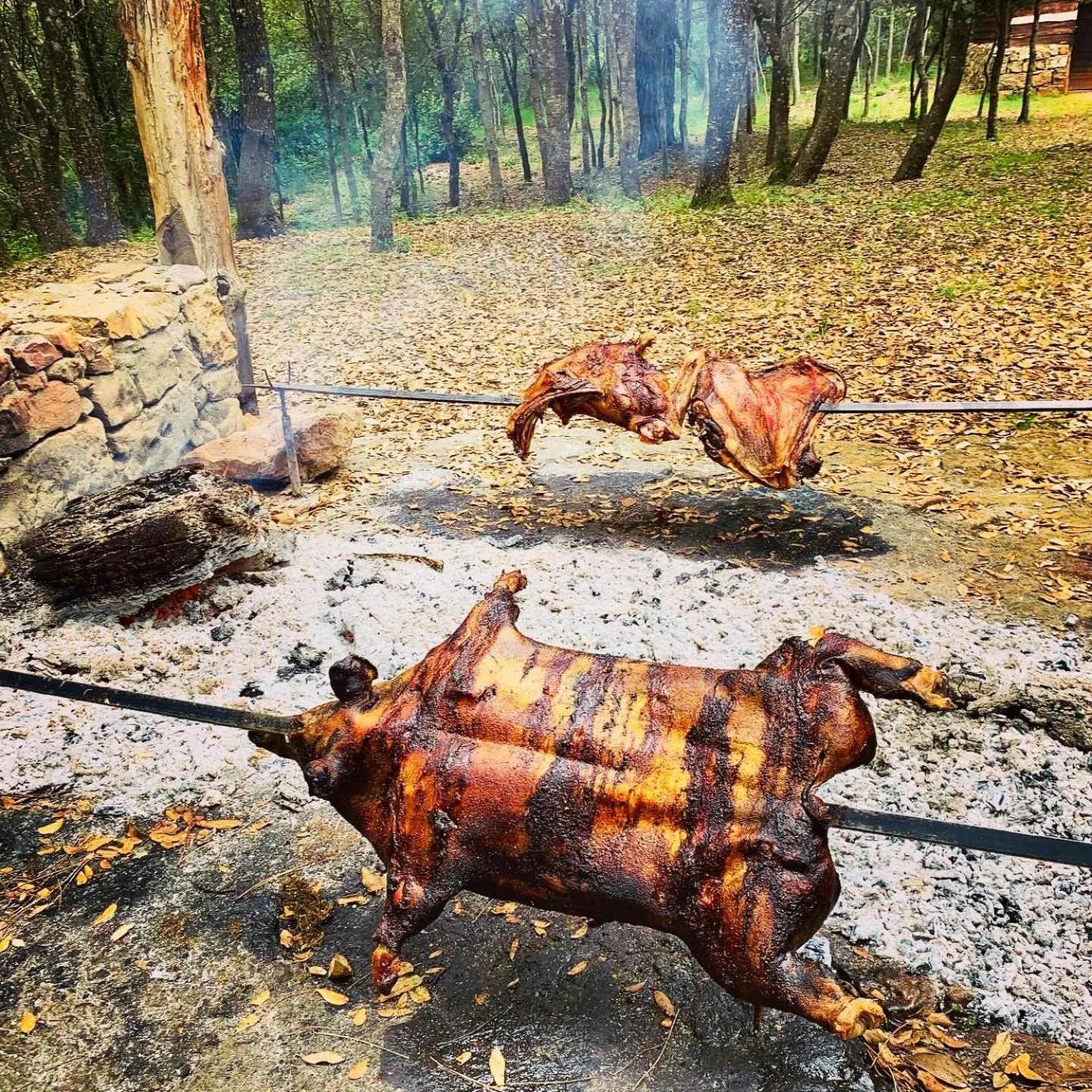 Food and drinks in Hotel Miramonti Seulo Turismo Rurale