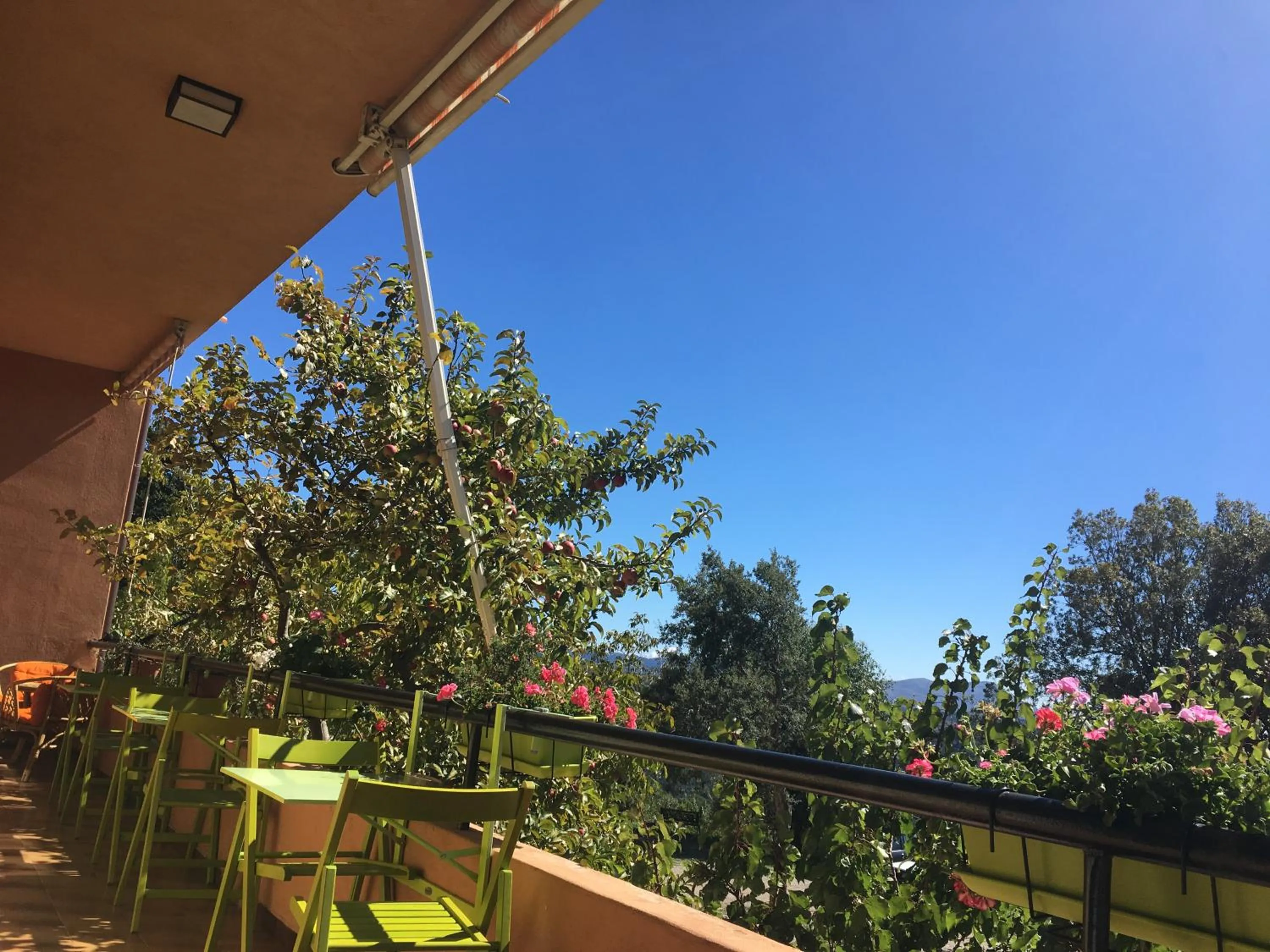 Balcony/Terrace in Hotel Miramonti Seulo Turismo Rurale