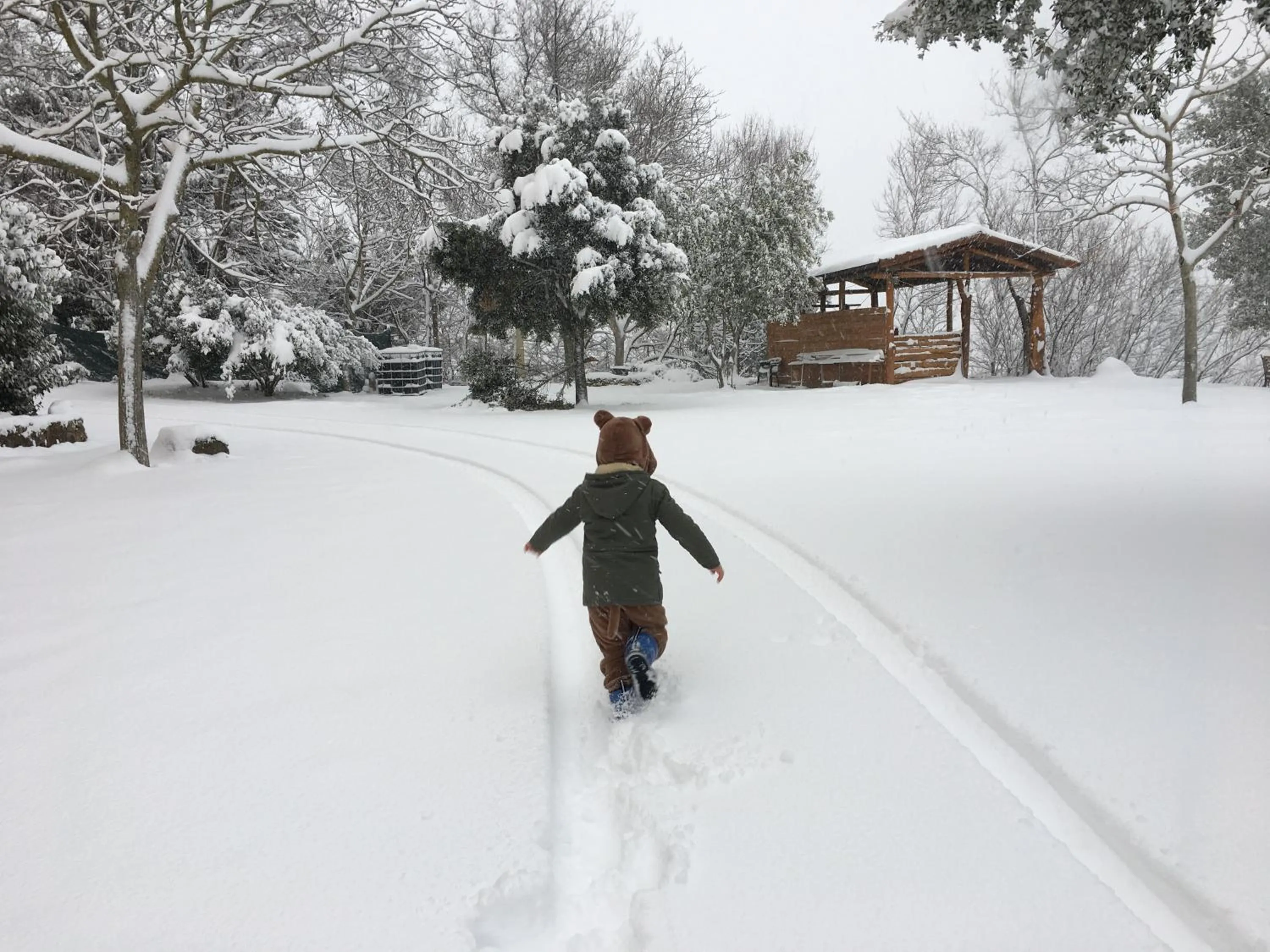 Garden in Hotel Miramonti Seulo Turismo Rurale