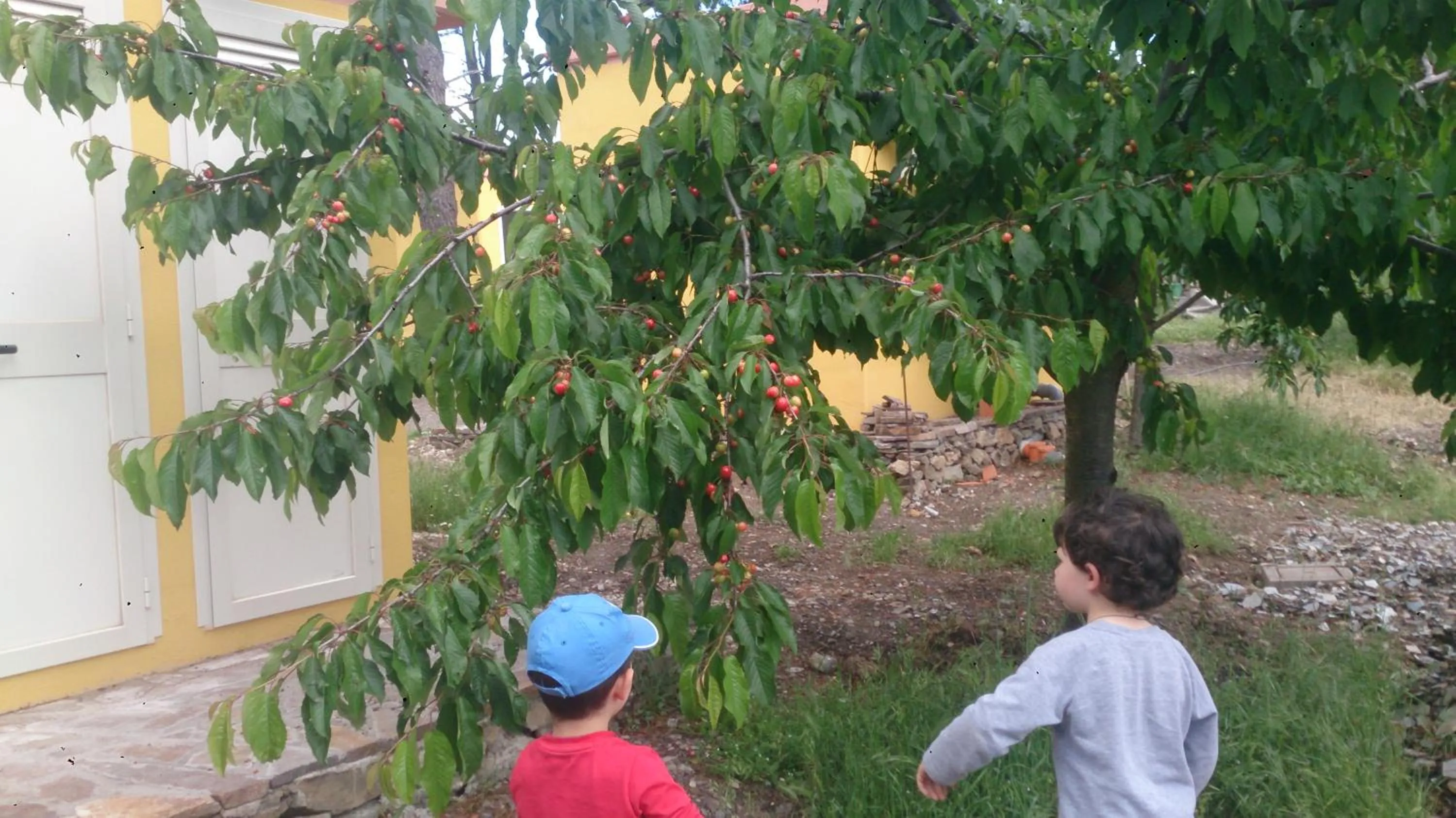 Garden in Hotel Miramonti Seulo Turismo Rurale