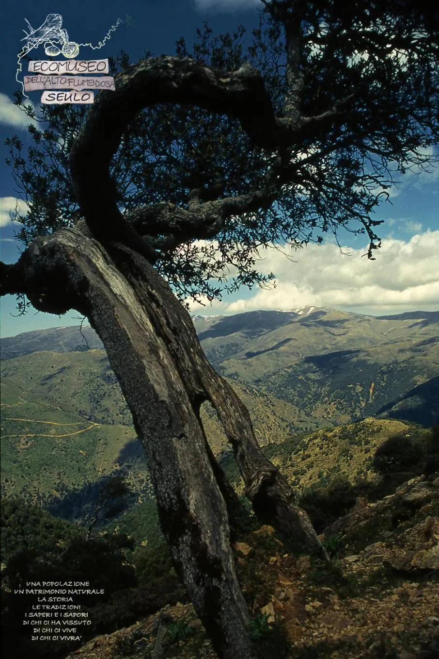 Hiking in Hotel Miramonti Seulo Turismo Rurale