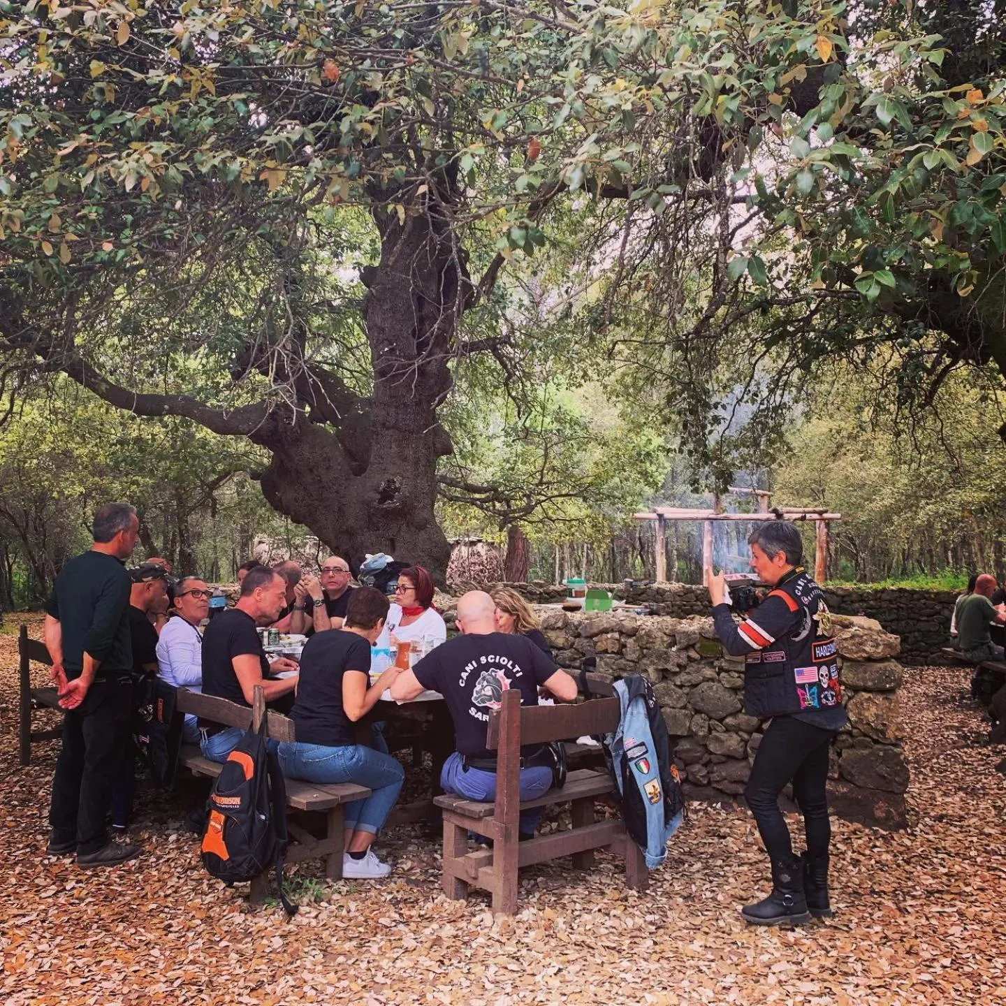 Natural landscape in Hotel Miramonti Seulo Turismo Rurale