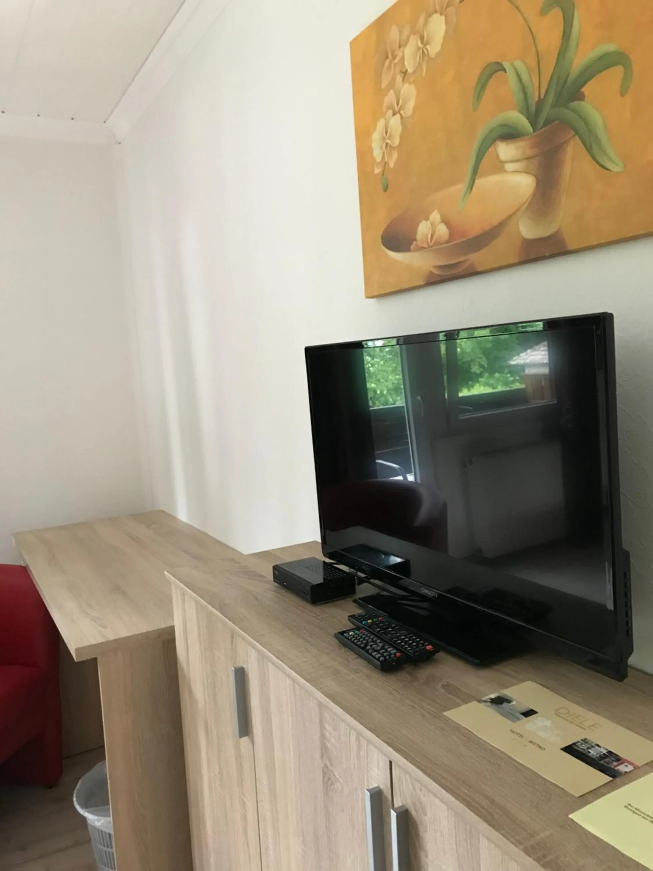 TV and multimedia in Hotel Diele