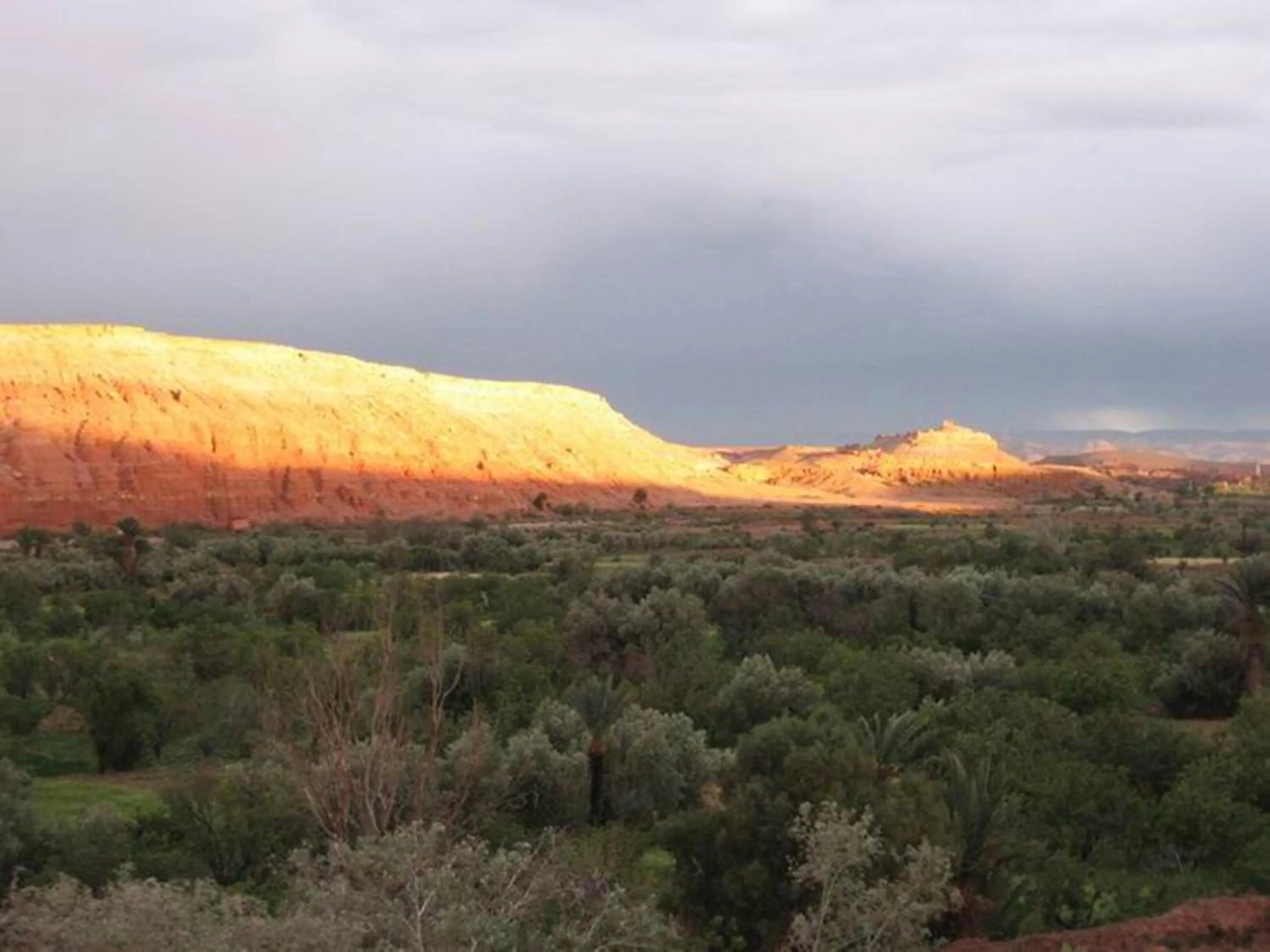 Garden view in Auberge Ayouze