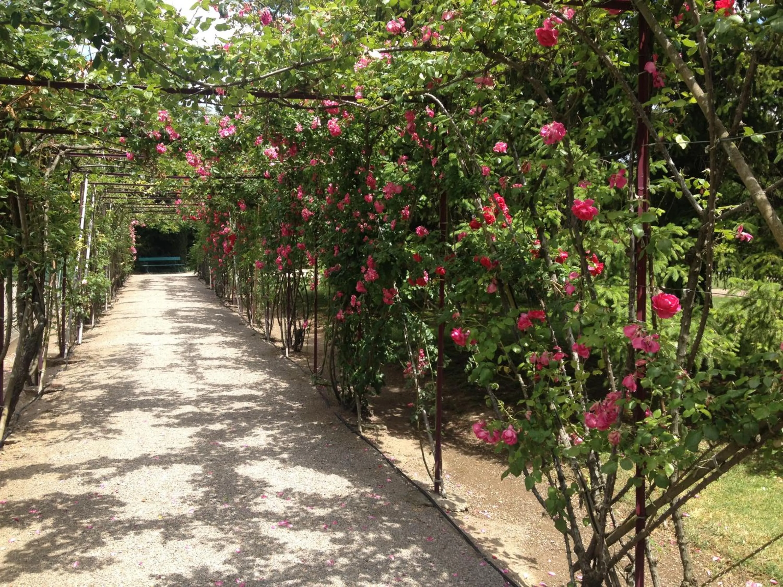 Area and facilities in Le Voyageur - Chambres d'Hôtes