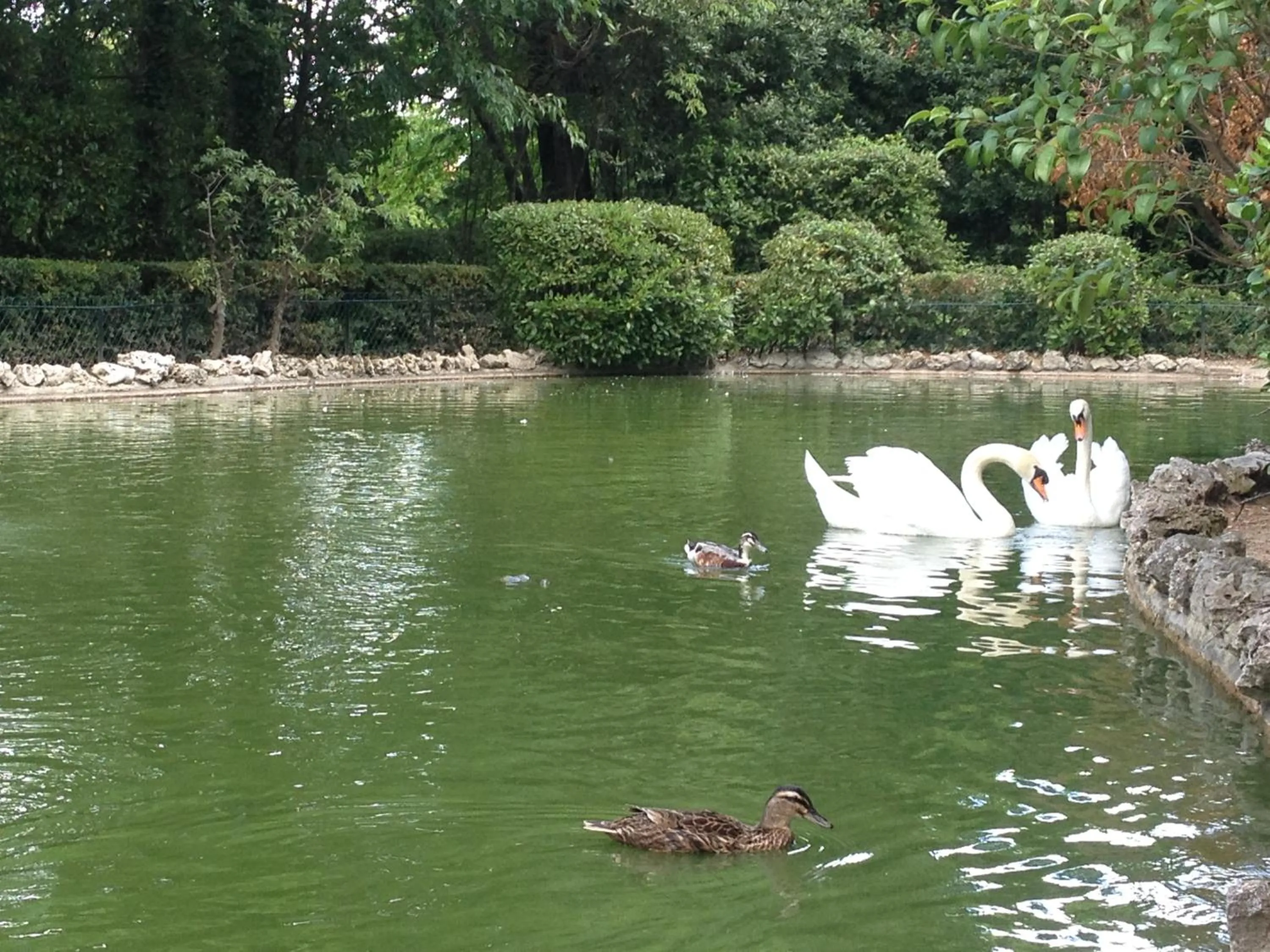 Area and facilities in Le Voyageur - Chambres d'Hôtes