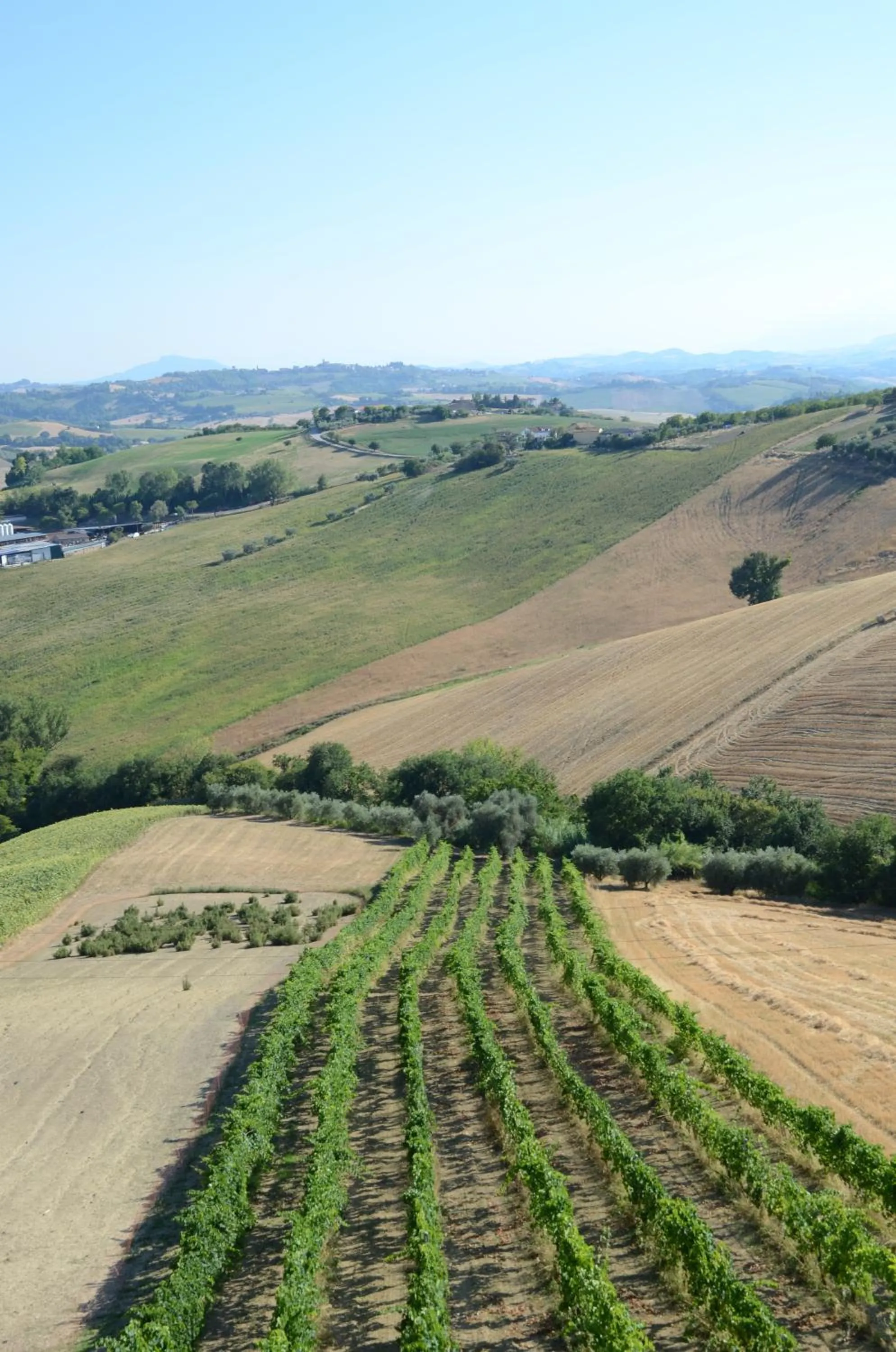 View (from property/room) in Il Vecchio Pioppo
