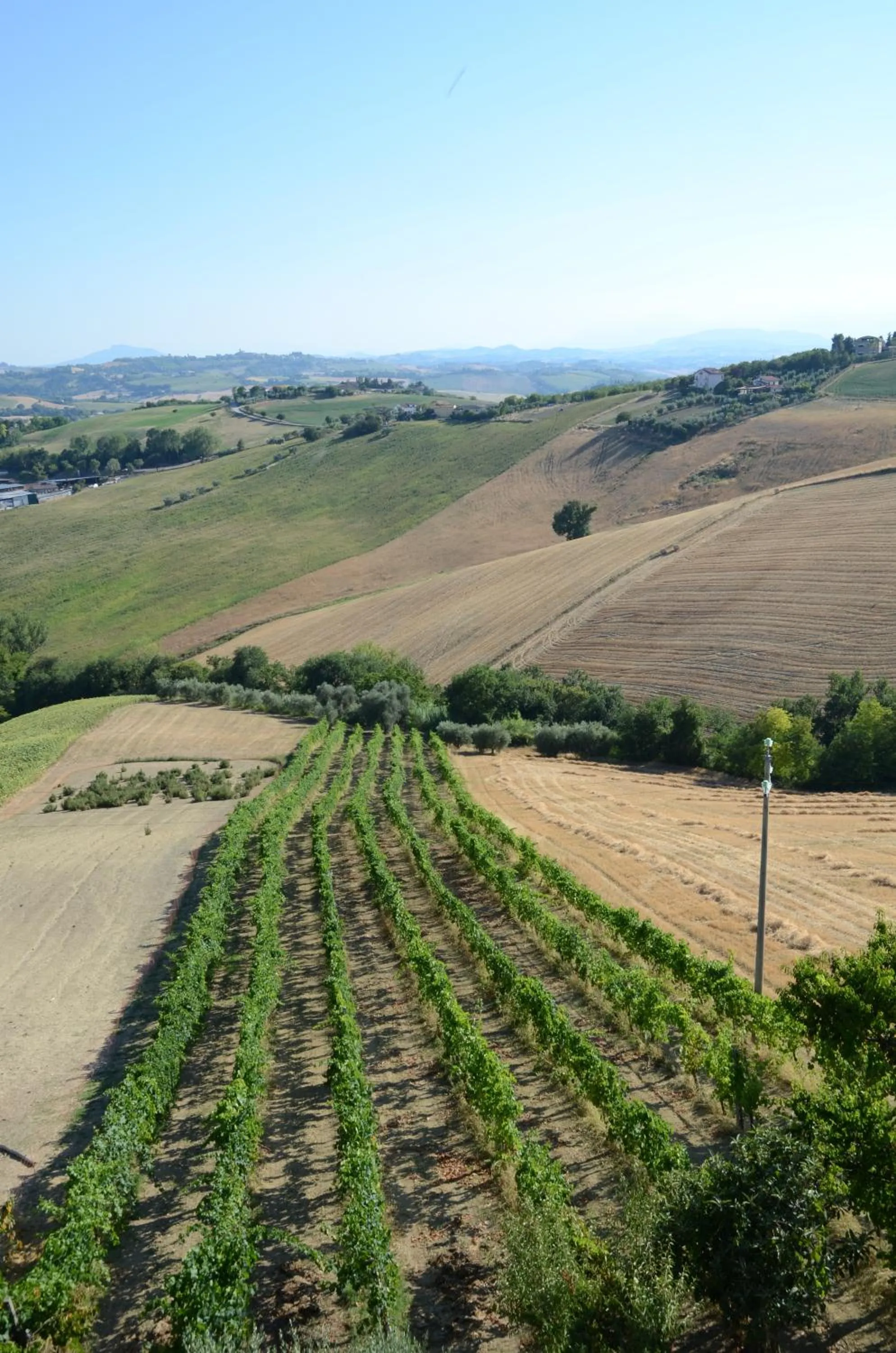 Other in Il Vecchio Pioppo