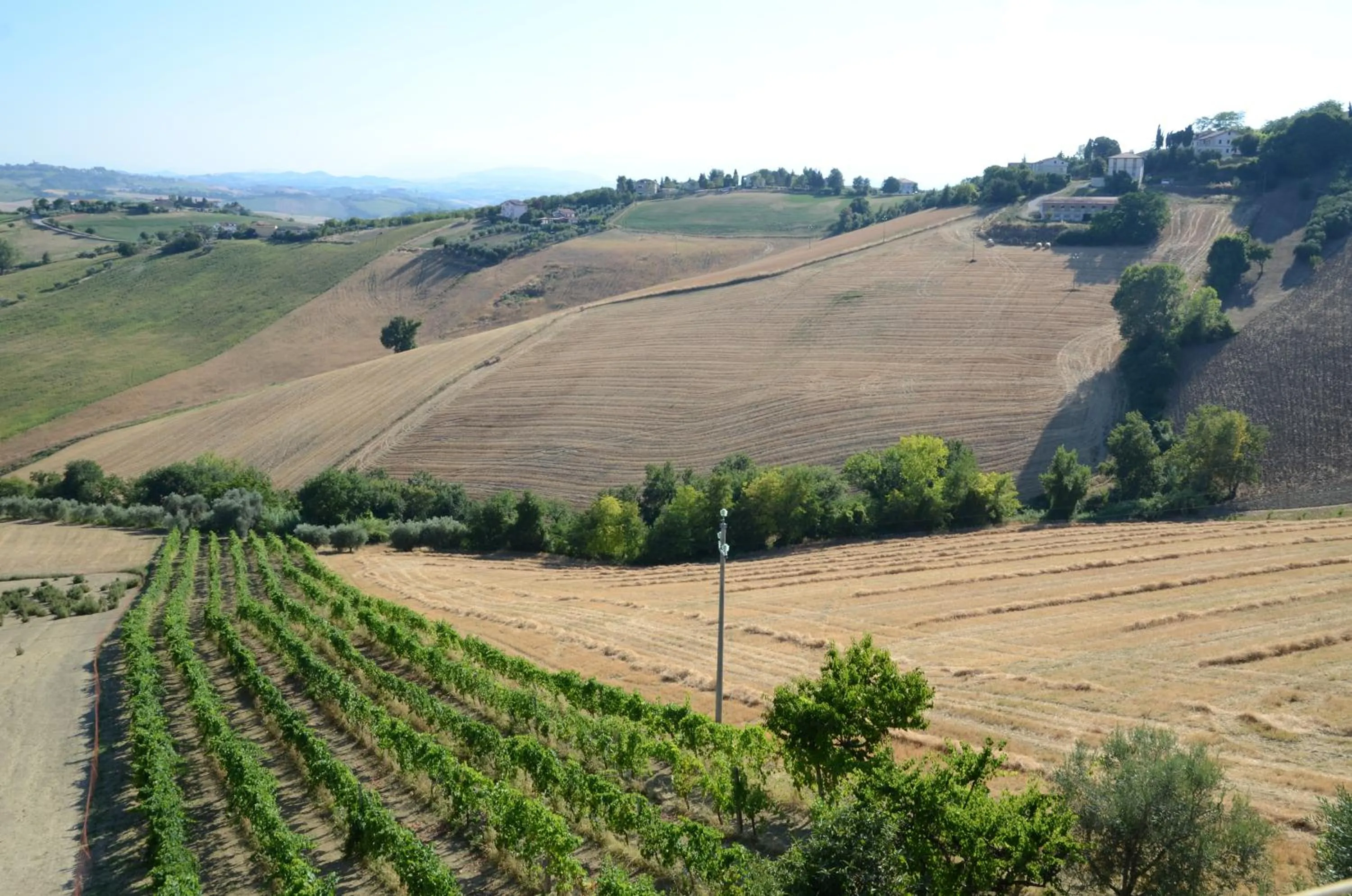 View (from property/room) in Il Vecchio Pioppo