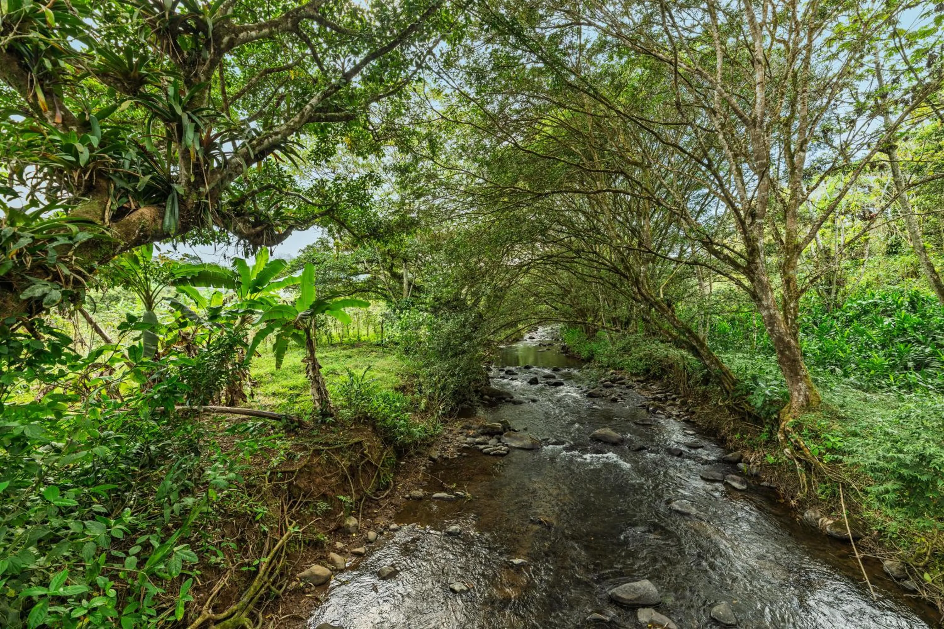 Spring in Hotel Ribera La Paz
