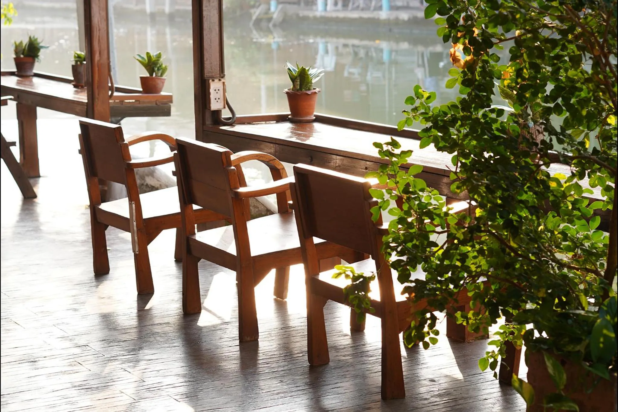 View (from property/room) in Thanicha Resort Amphawa