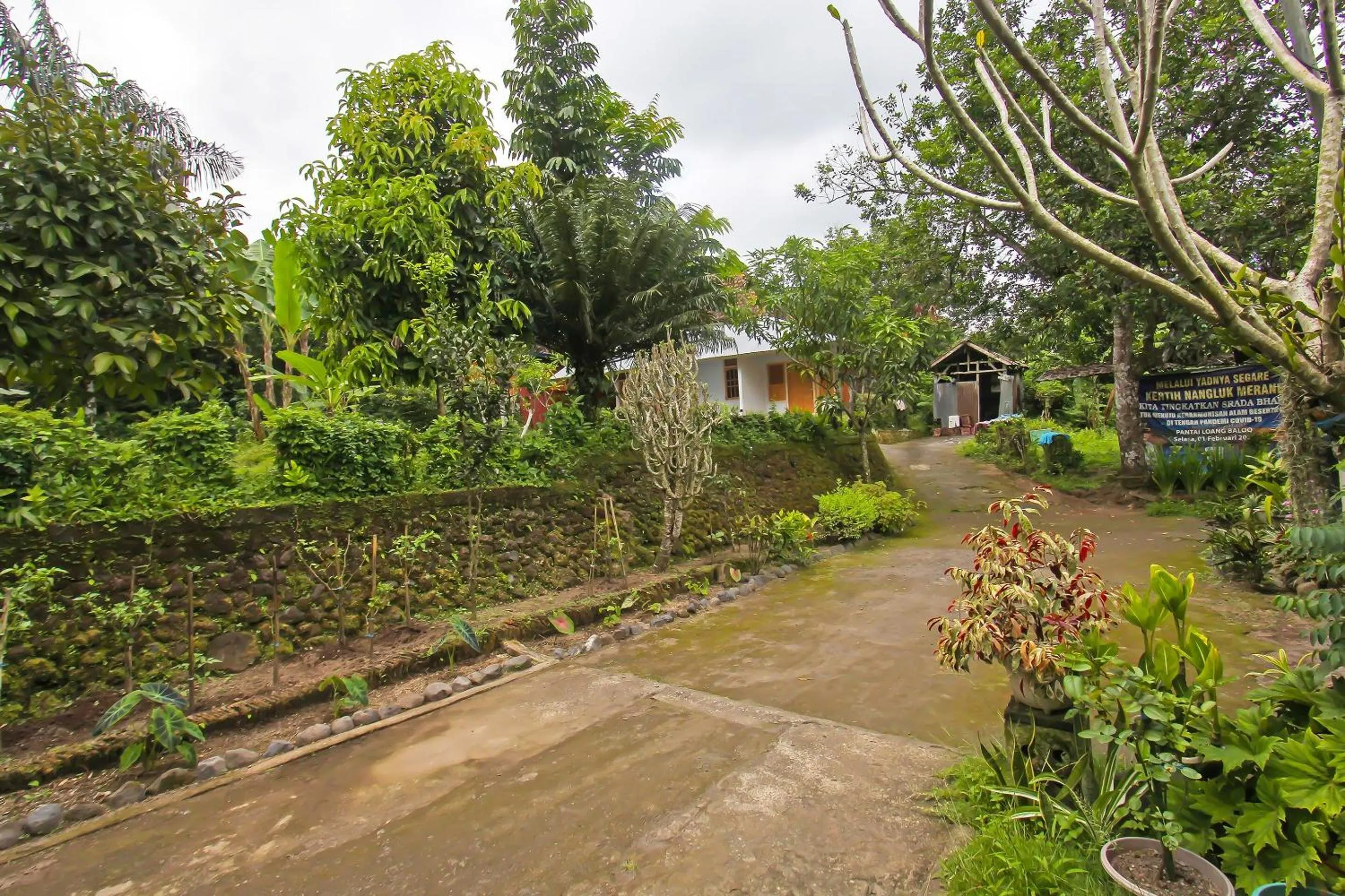 Lobby or reception in Hotel O Jati Homestay Near Taman Suranadi