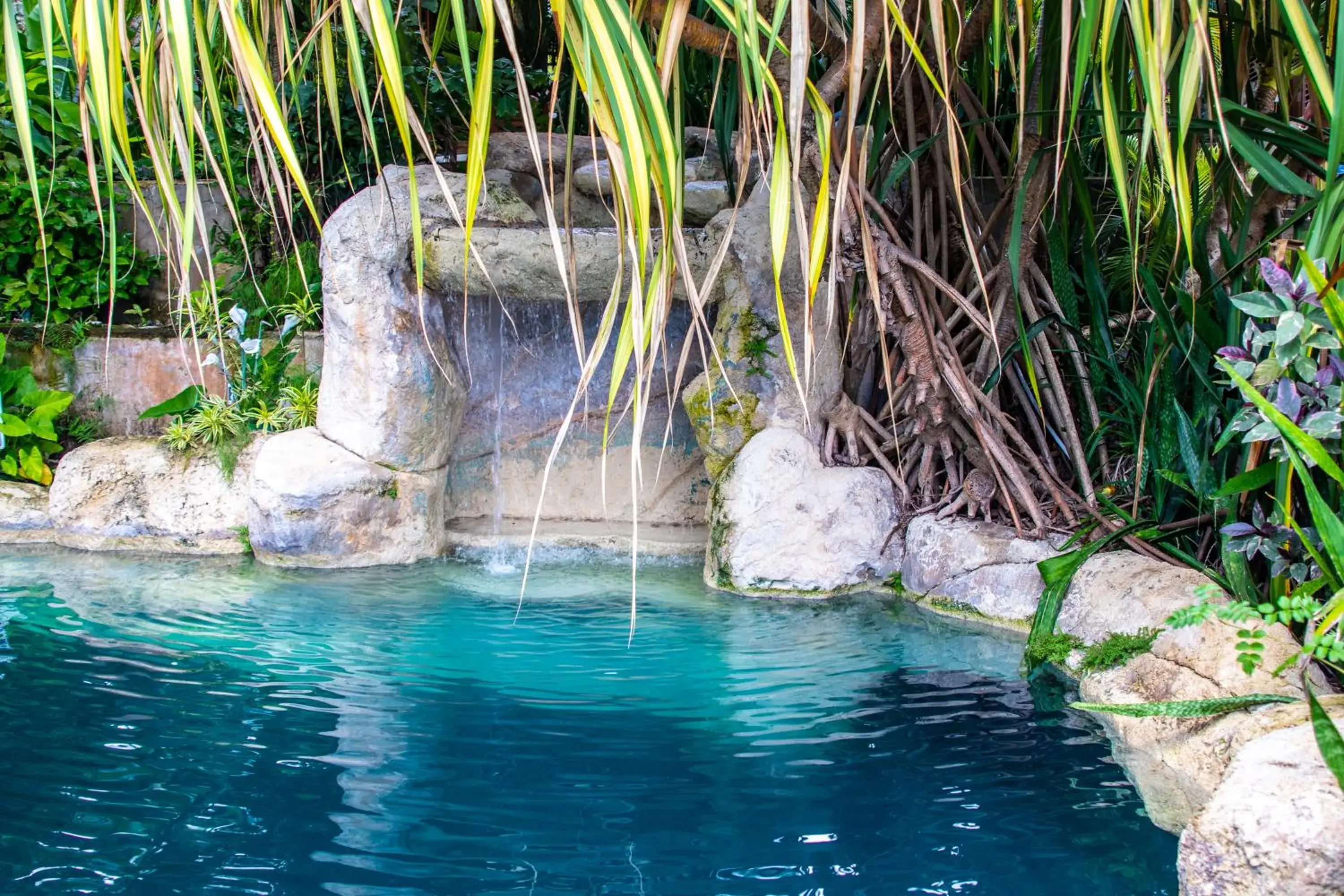 Swimming pool in Sweetfield Manor Swimming pool in Sweetfield Manor