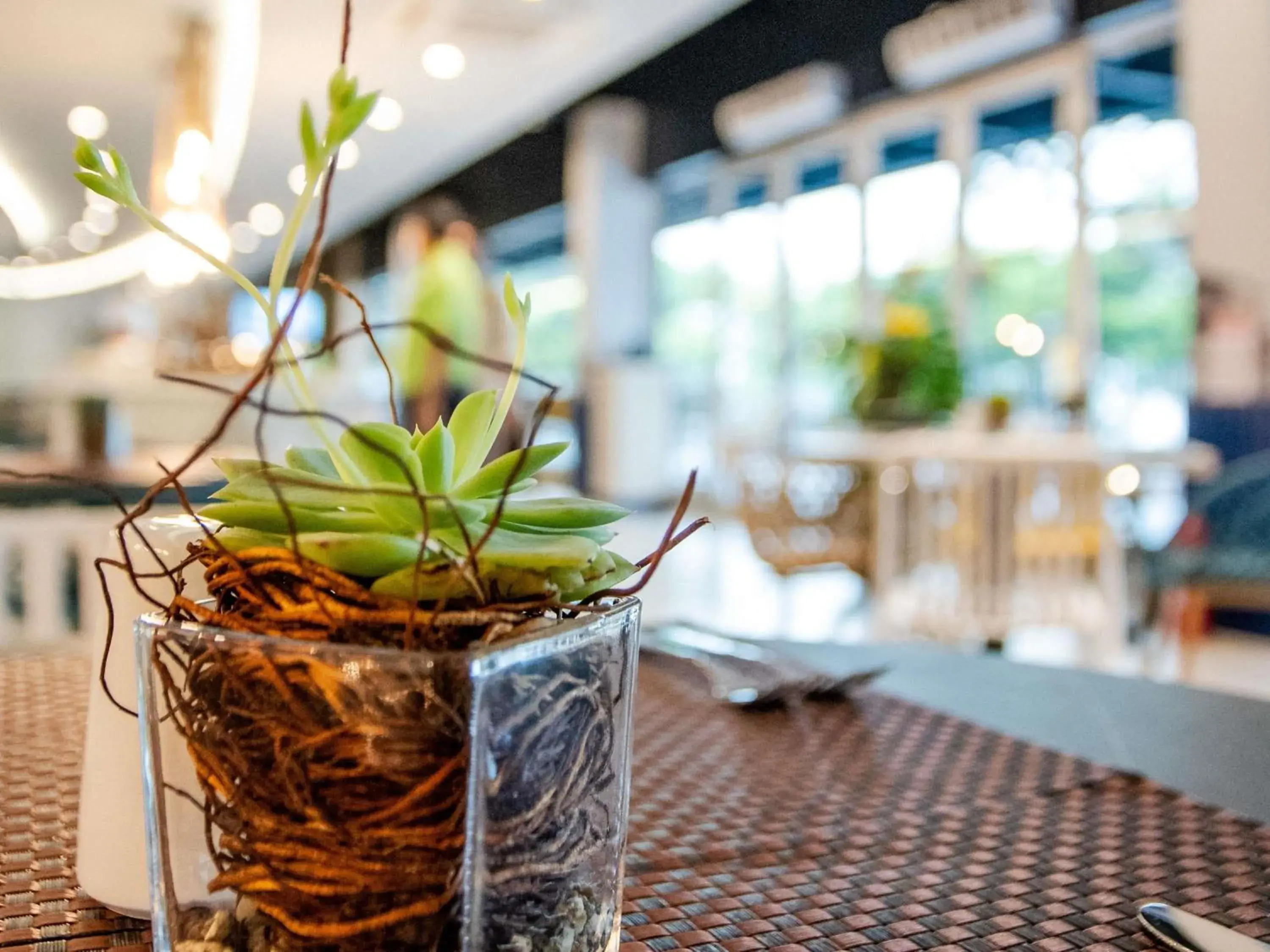 Restaurant/places to eat in Ibis Styles El Malecon Guayaquil Restaurant/places to eat in Ibis Styles El Malecon Guayaquil