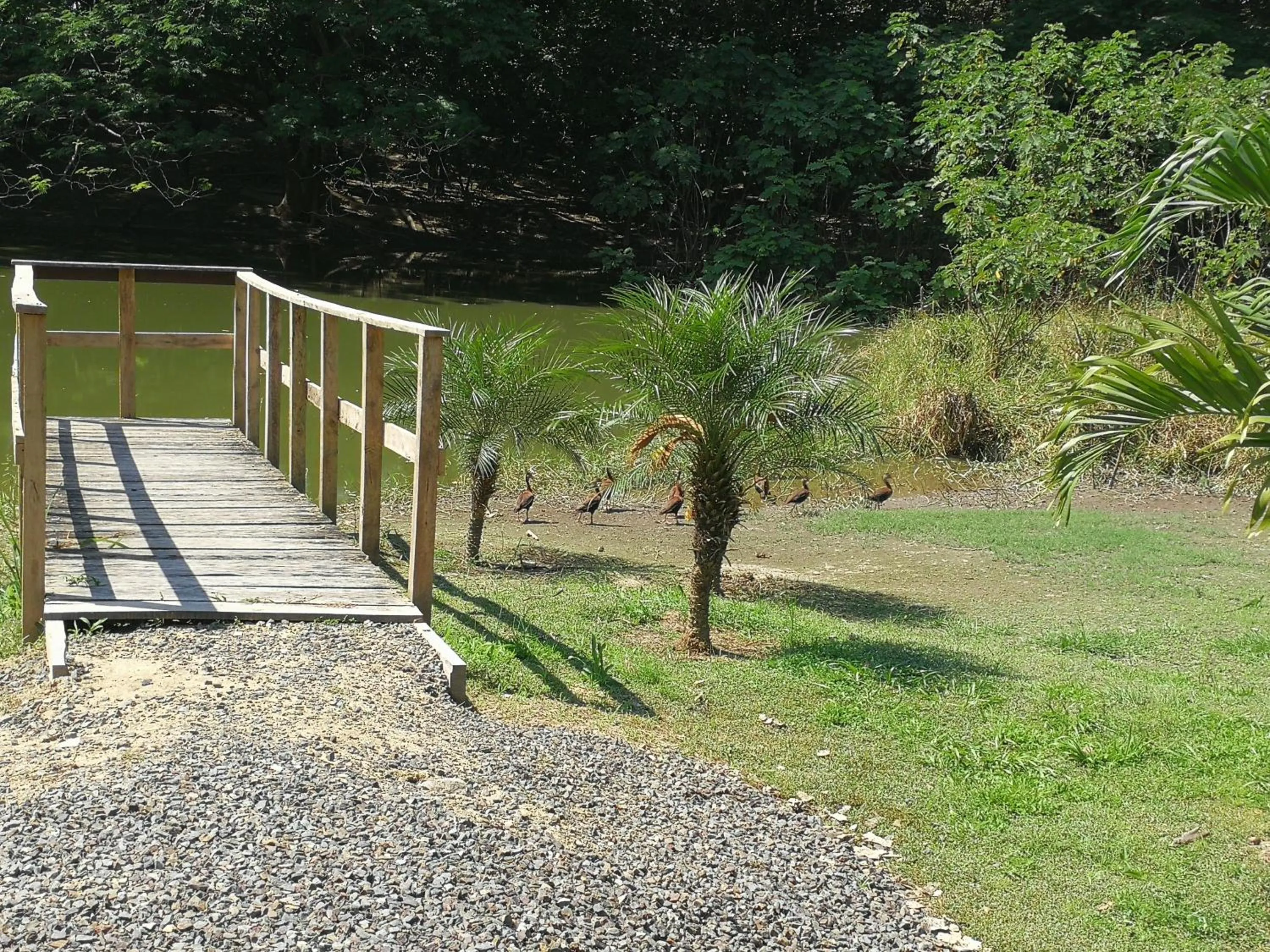 Area and facilities in Best Western El Sitio Hotel