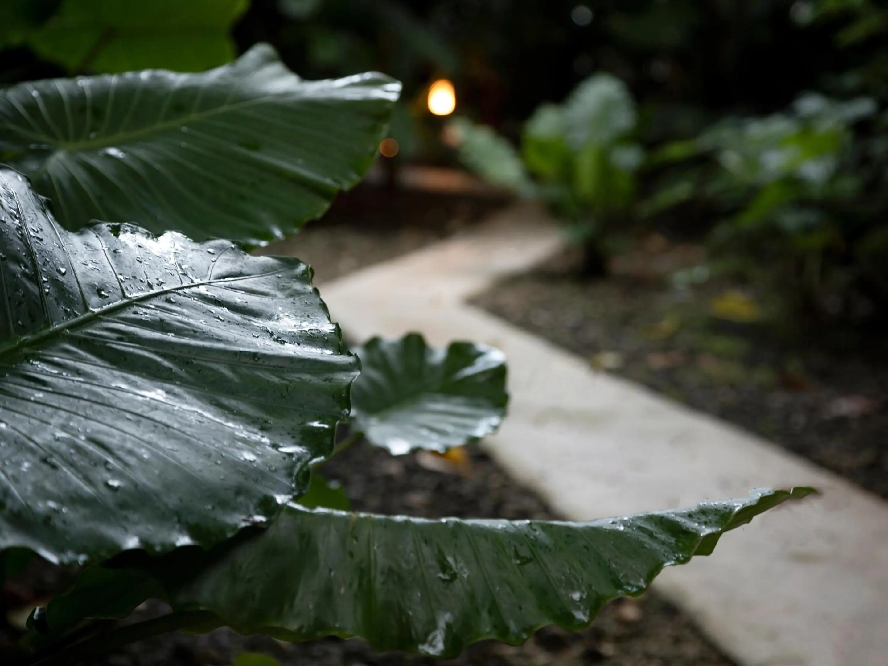 Natural landscape in Jusandi