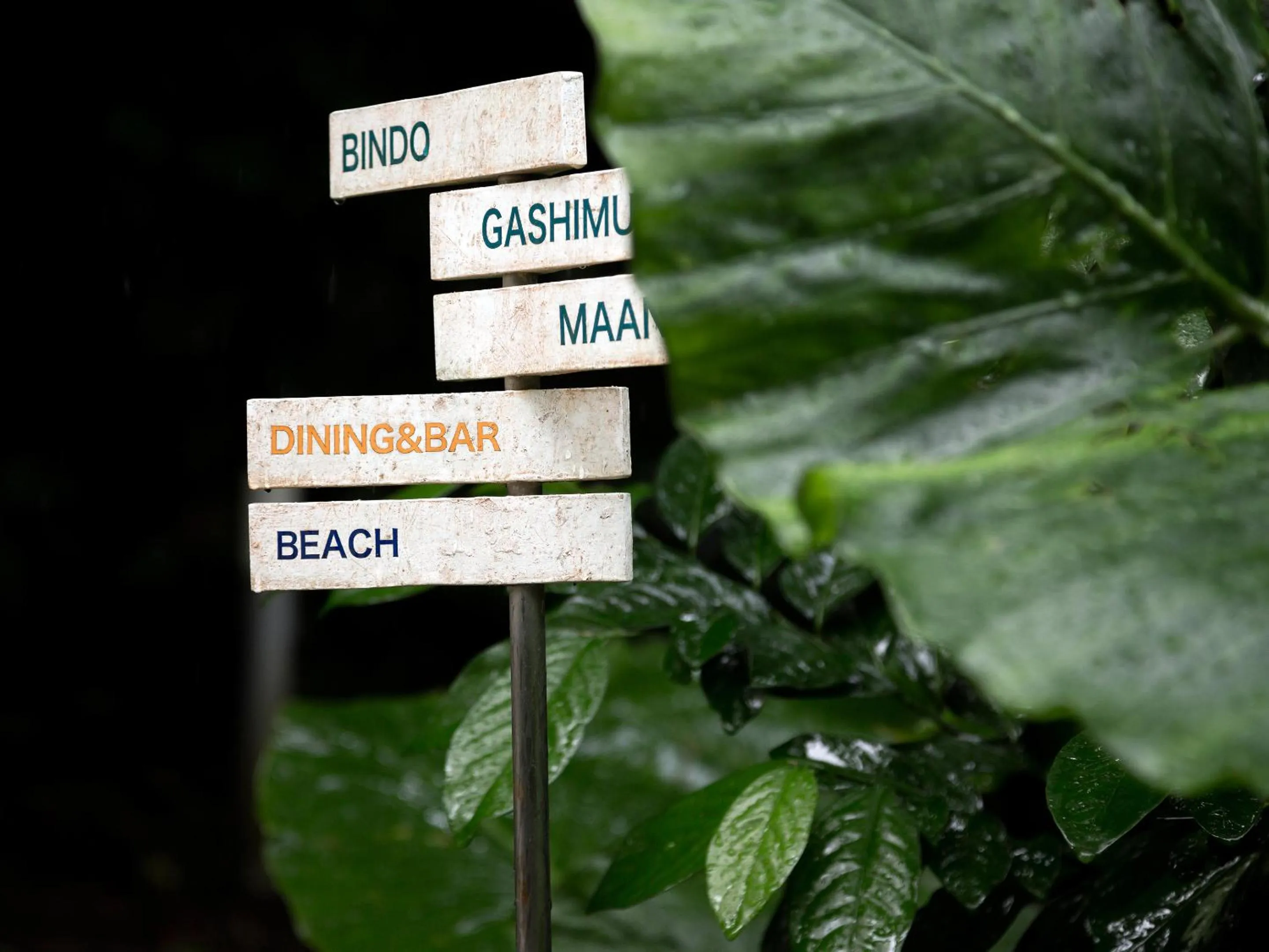 Property logo or sign in Jusandi