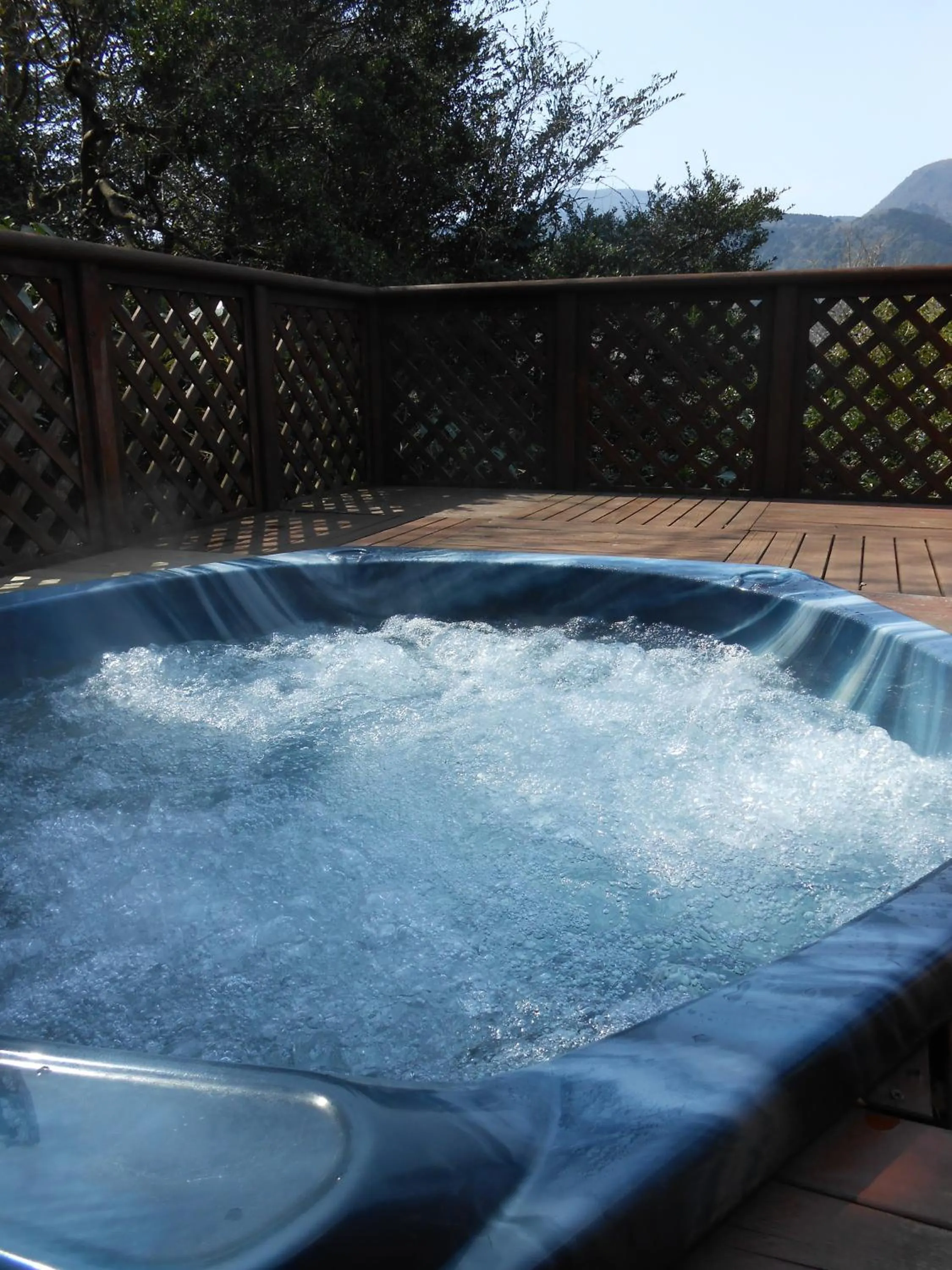 Spa and wellness centre/facilities in Pension Margaret