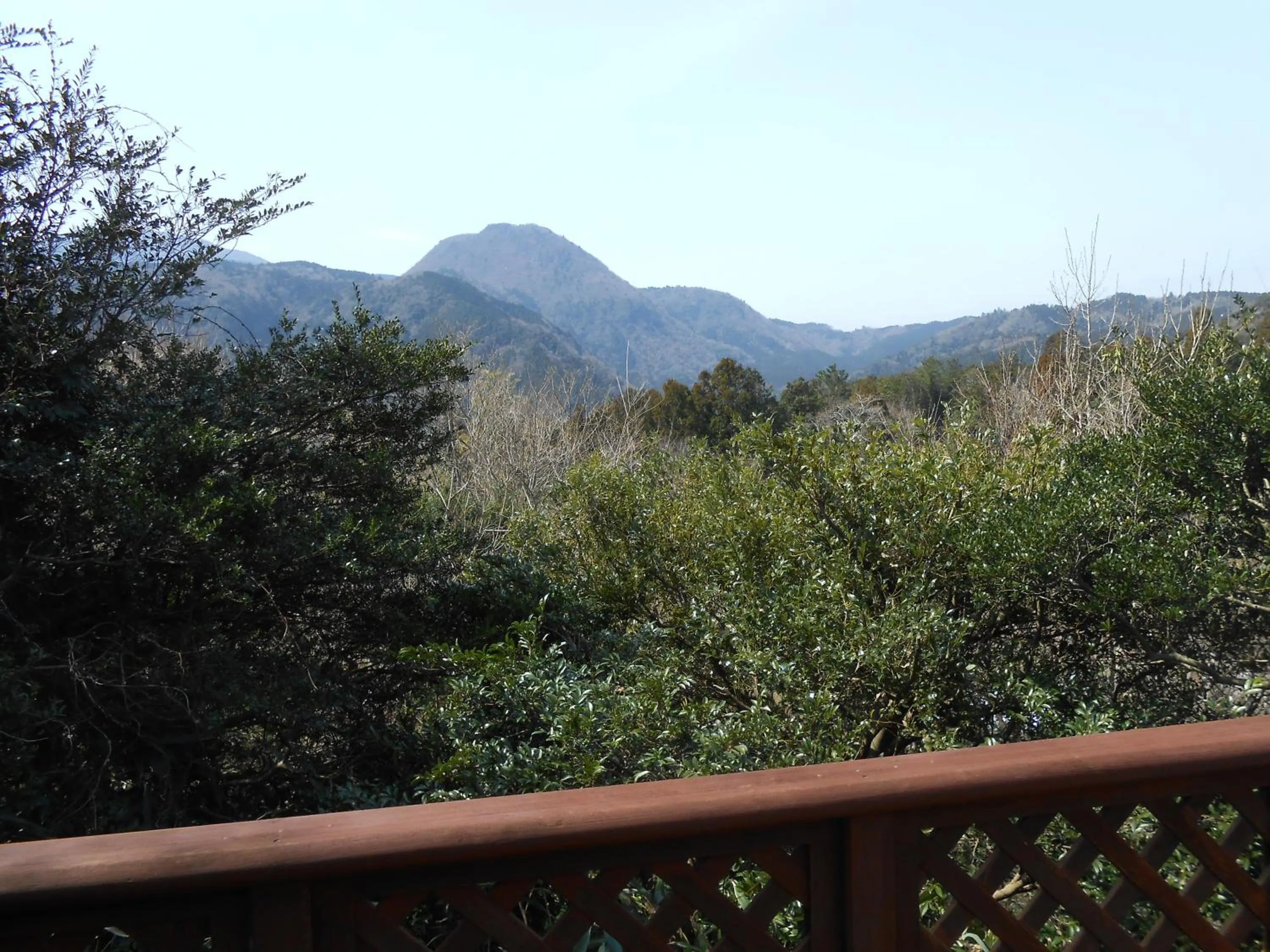 View (from property/room) in Pension Margaret