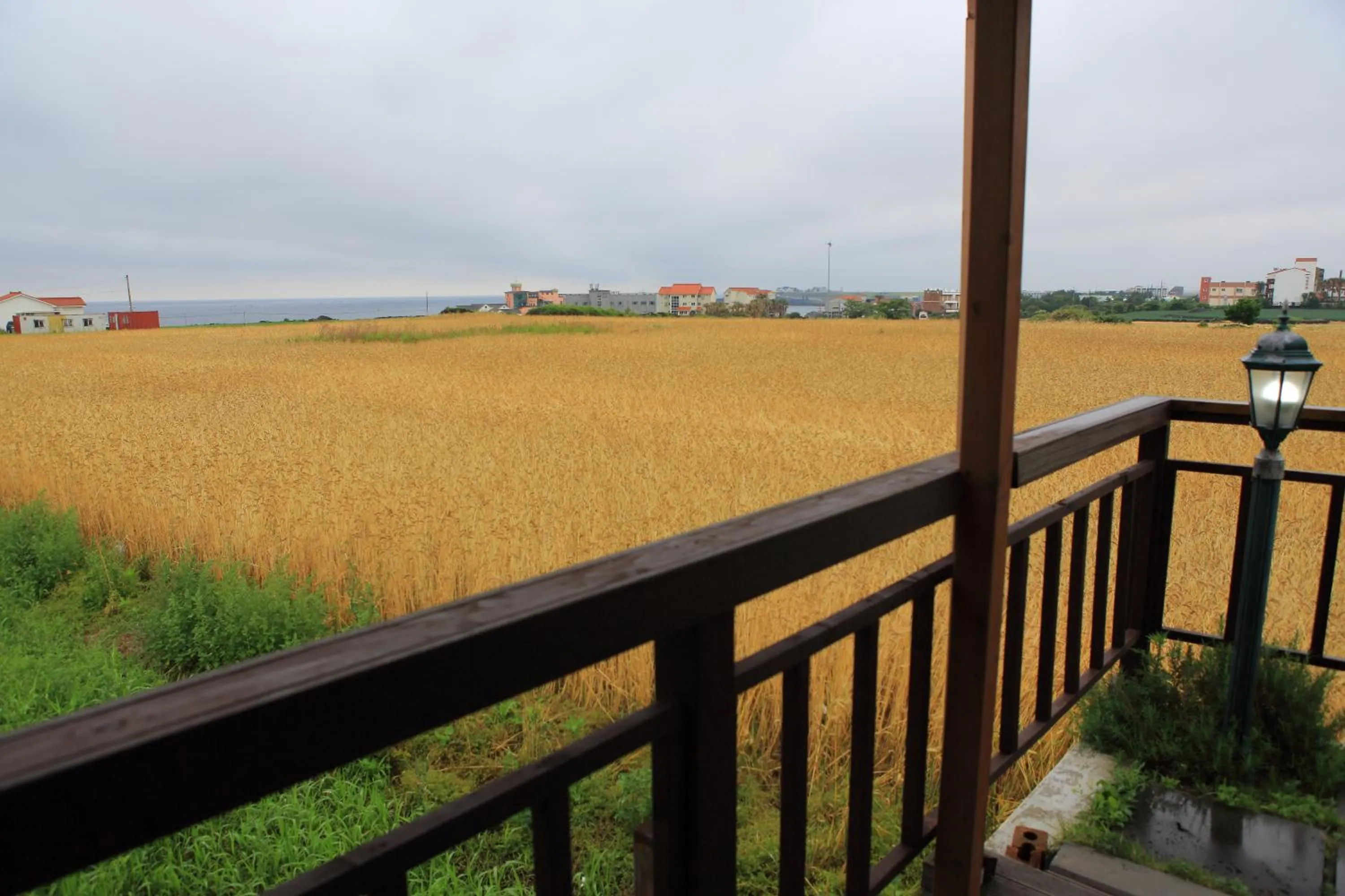 Day in Jeju Gillime Pension