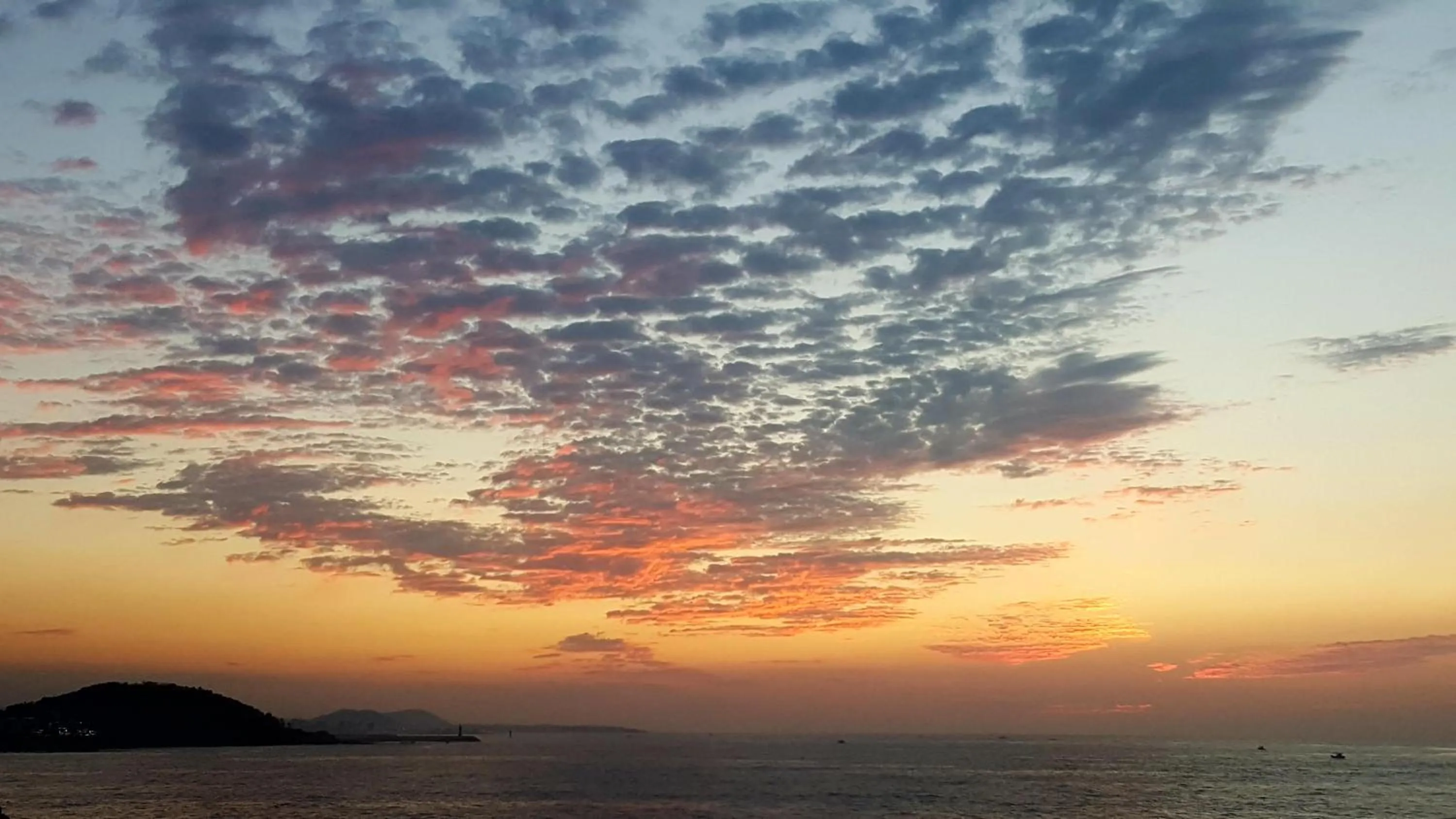 Garden in Jeju Gillime Pension