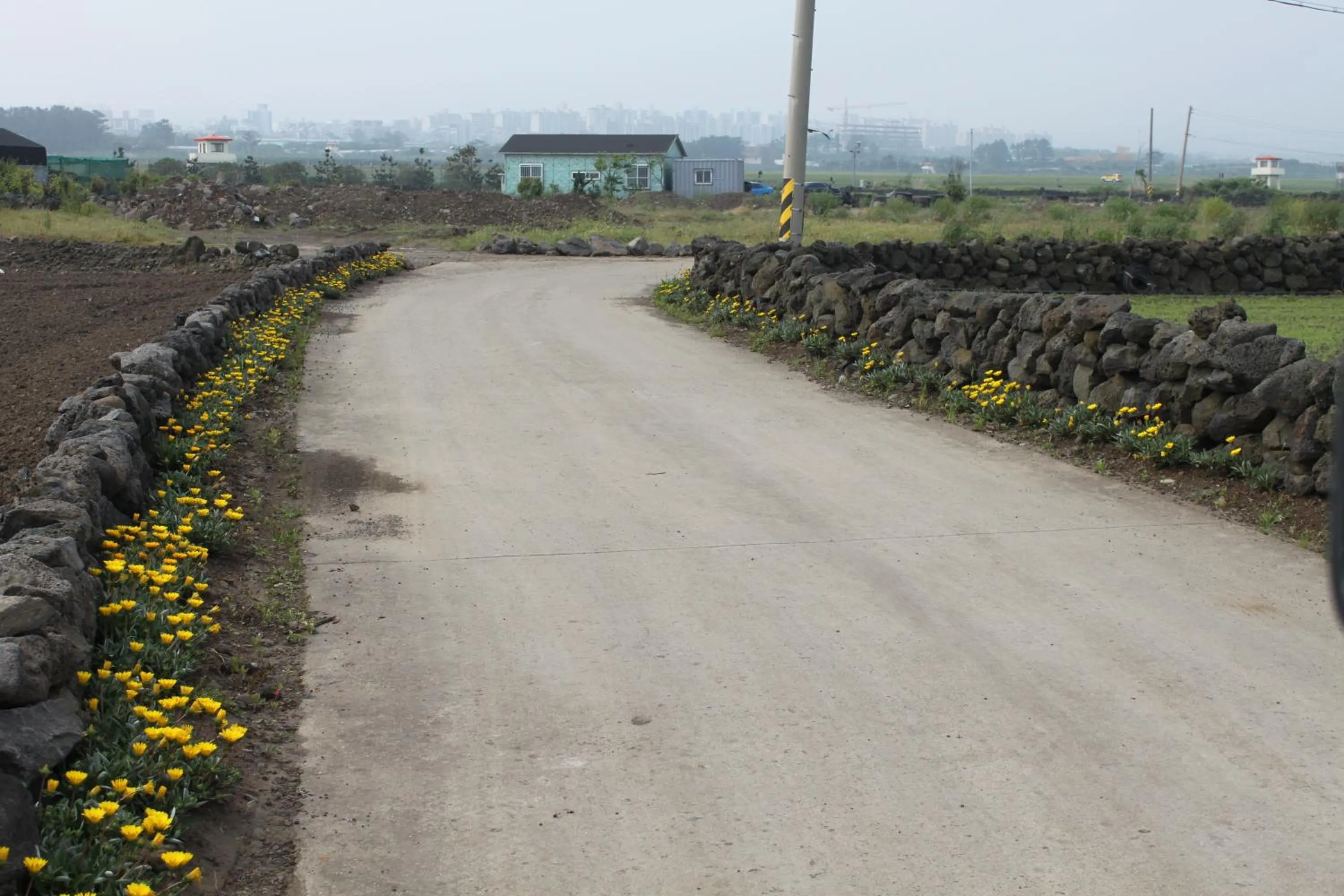 View (from property/room) in Jeju Gillime Pension