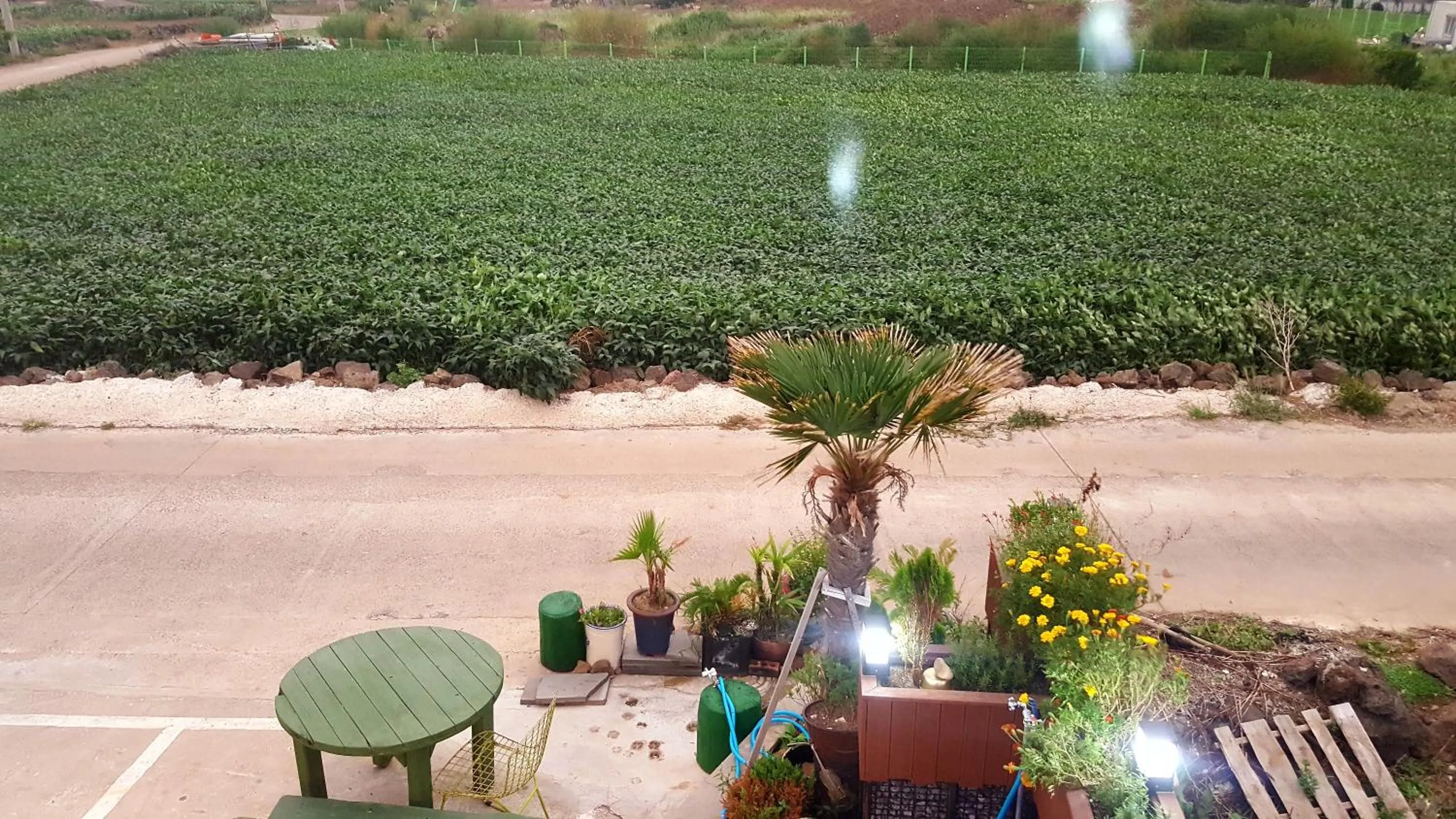 Garden in Jeju Gillime Pension