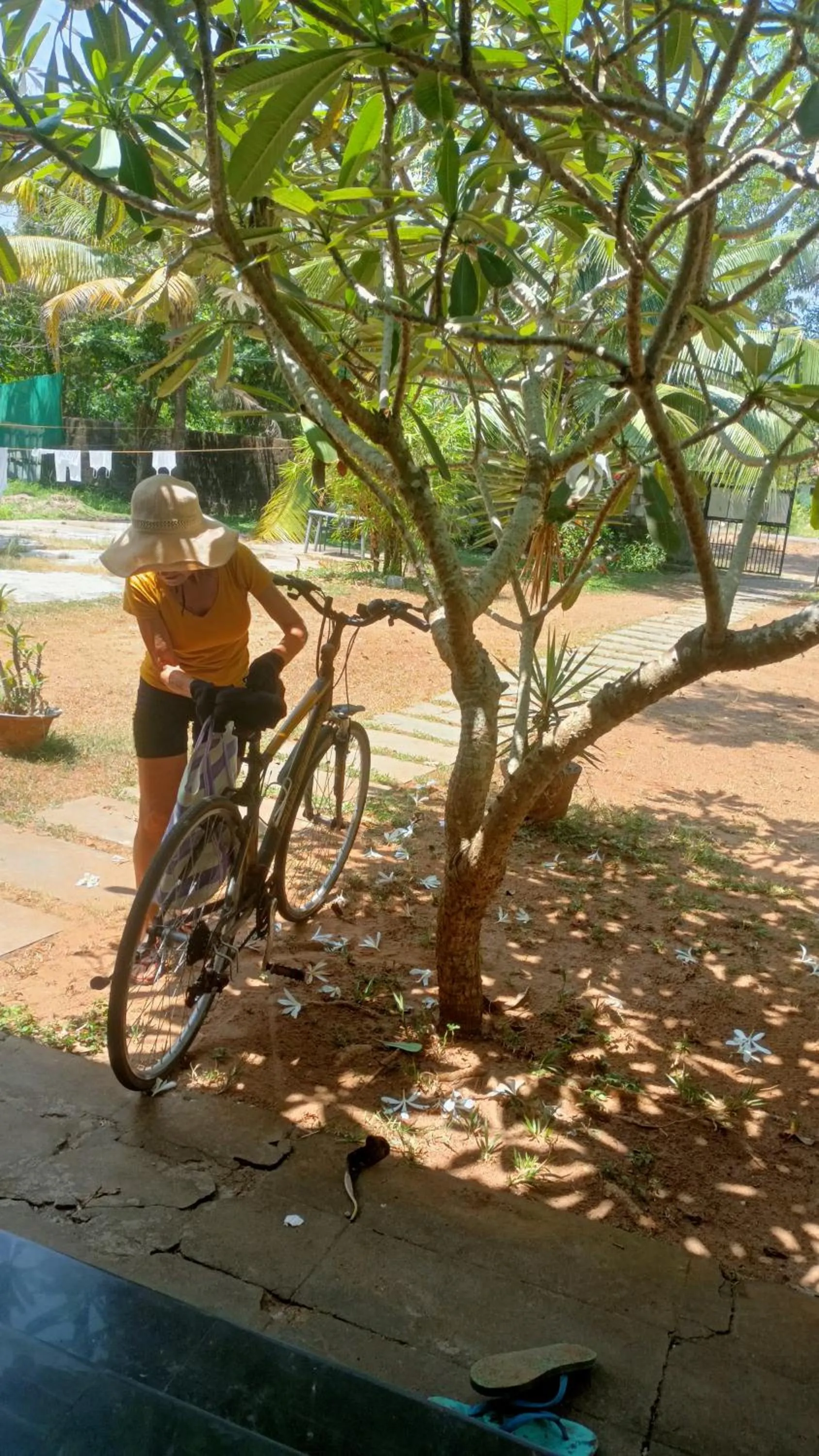 Angels' homestay Marari