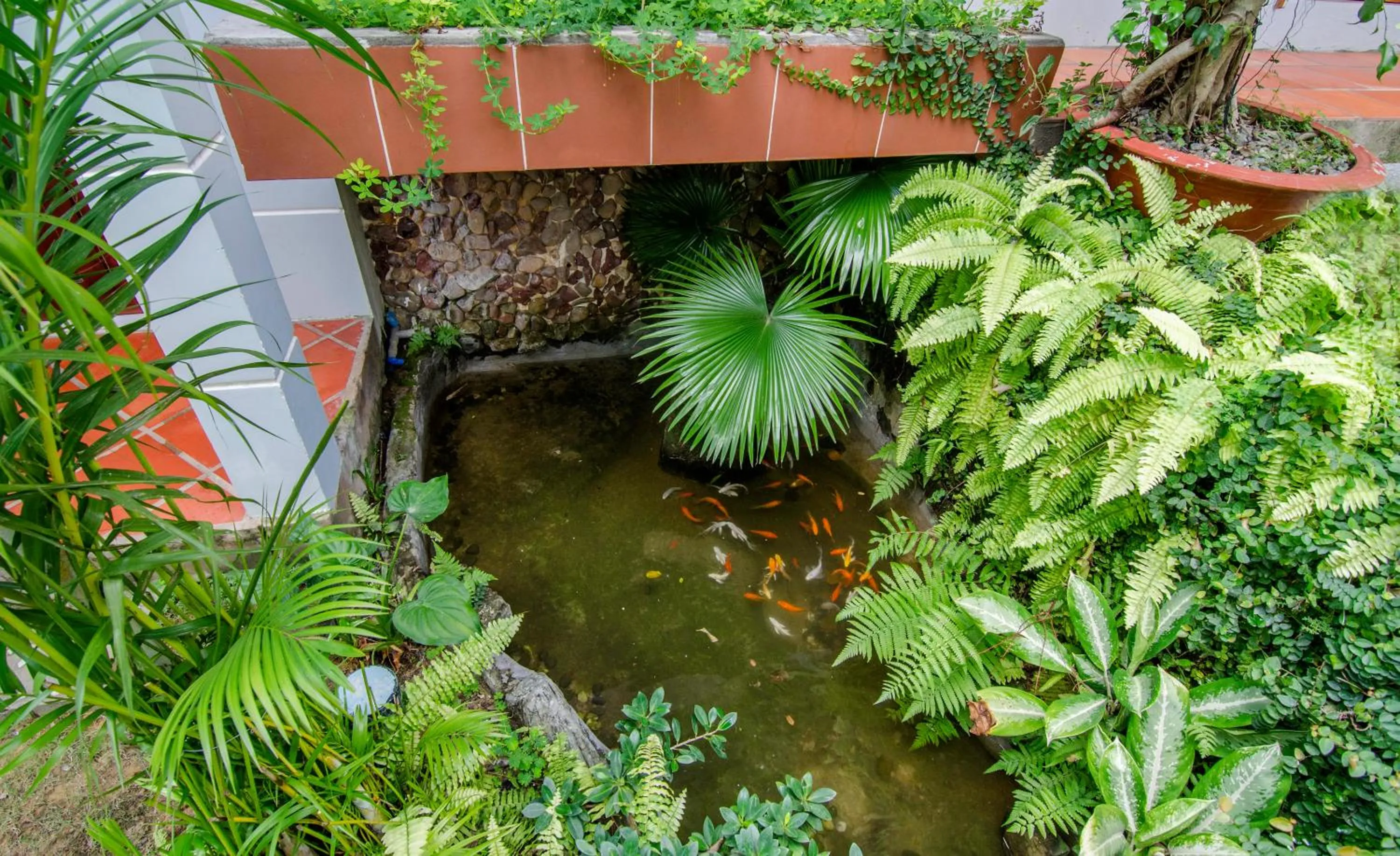 Garden in Dong Xuan Hong Hotel