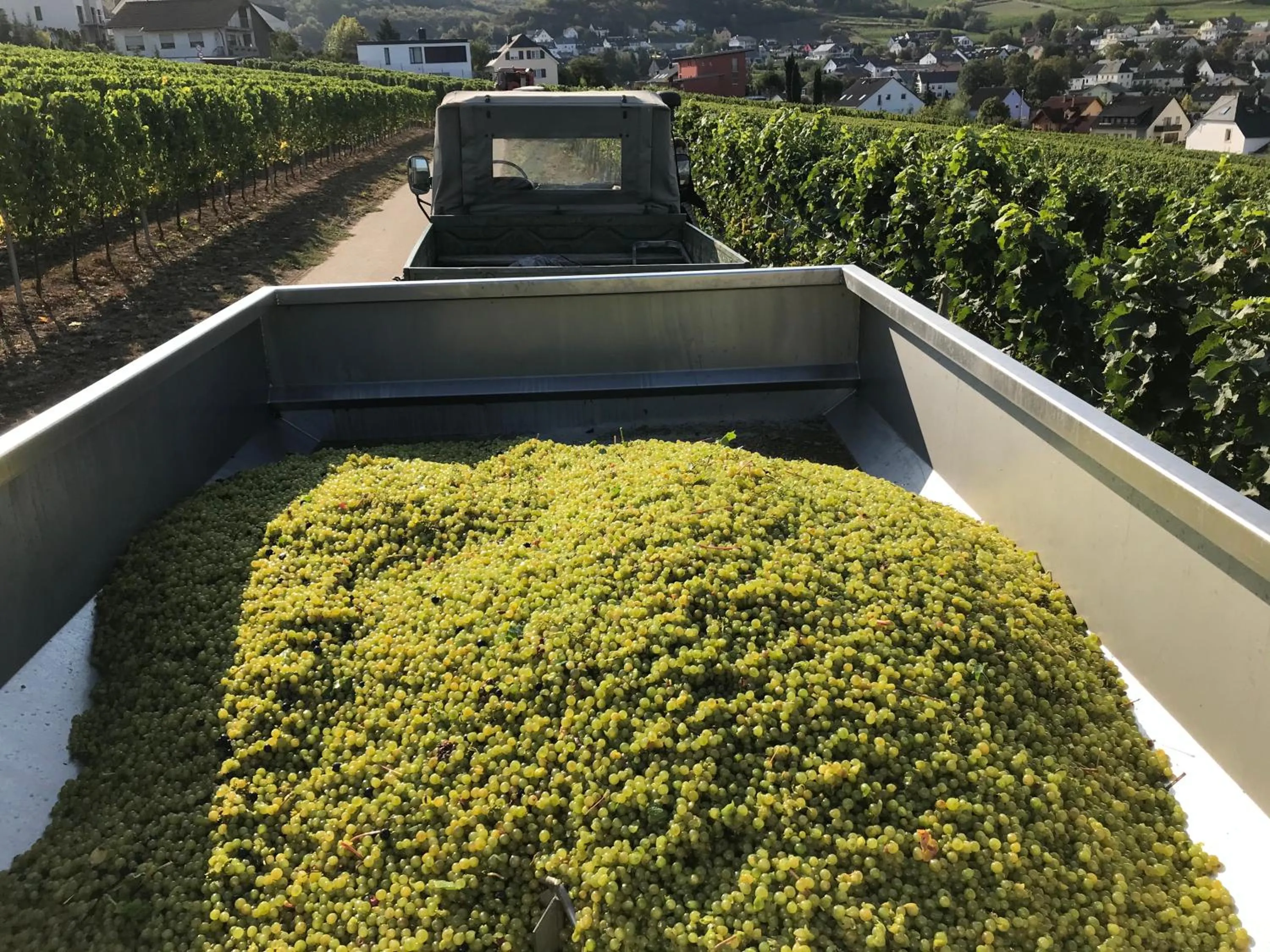 Natural landscape in Gästehaus und Weingut Bernd Frieden