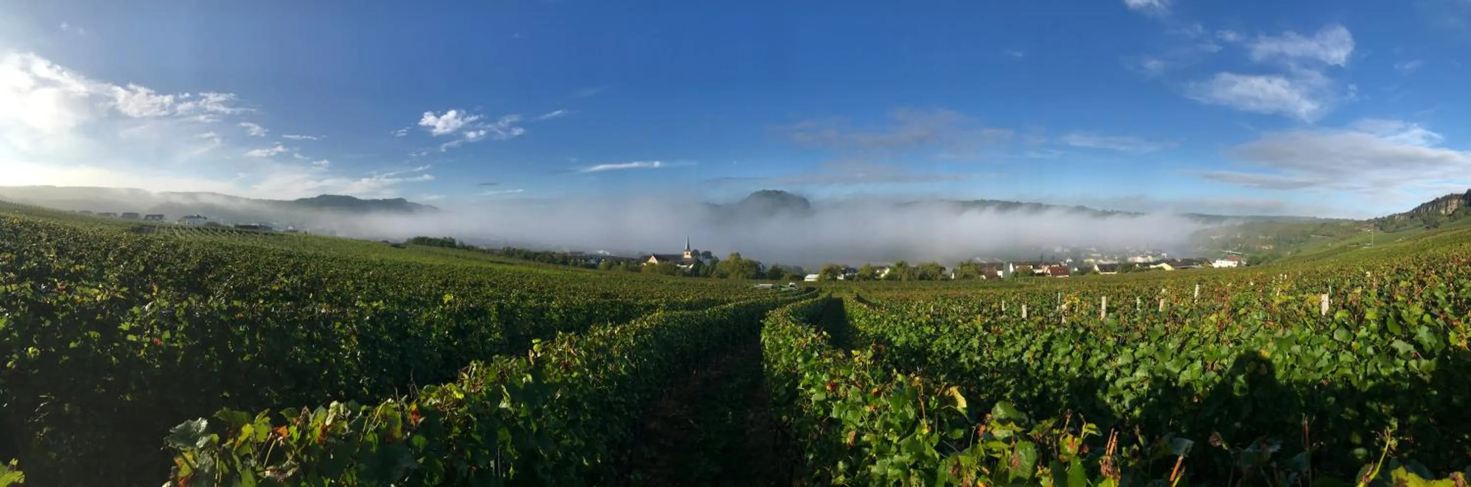 Natural landscape in Gästehaus und Weingut Bernd Frieden