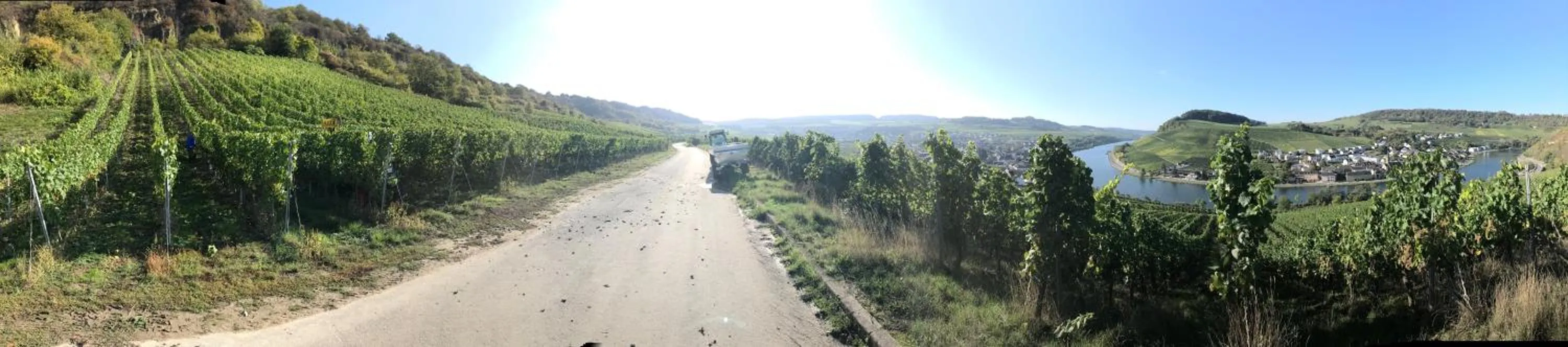 Natural landscape in Gästehaus und Weingut Bernd Frieden