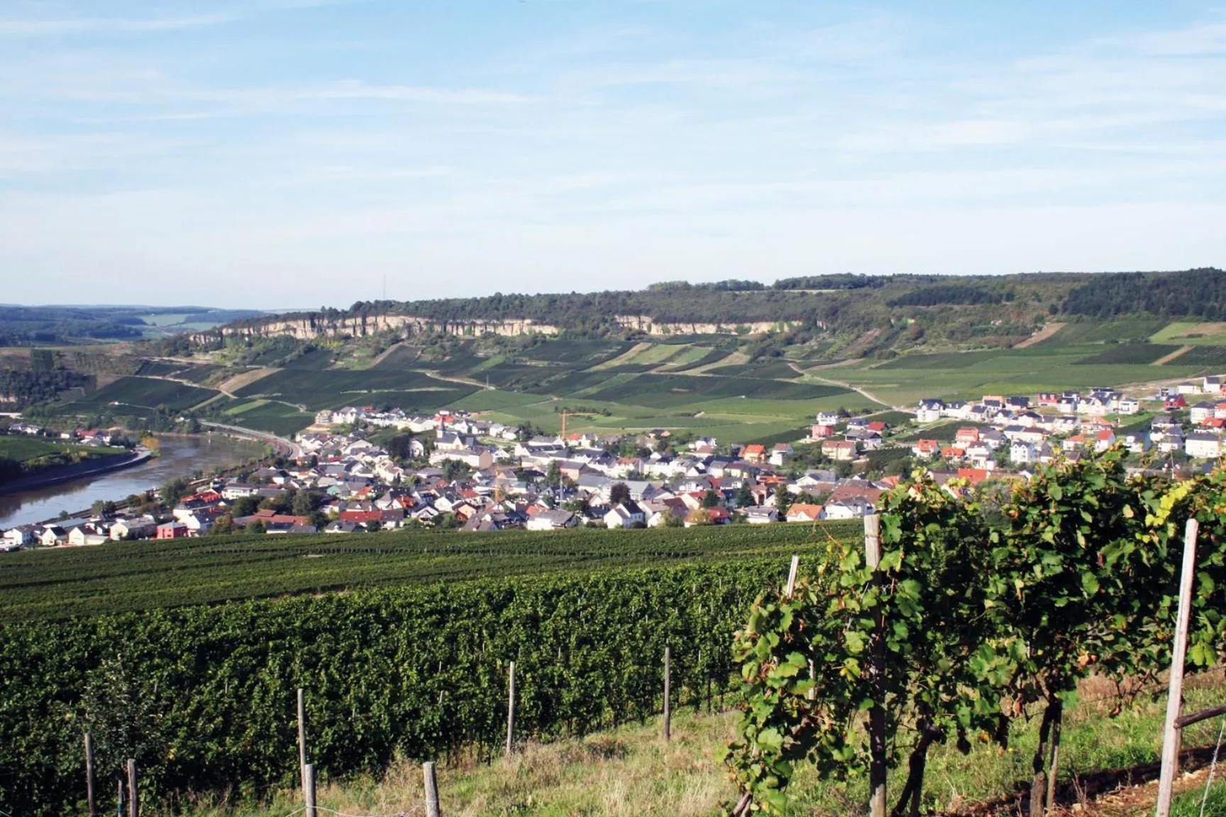 Day in Gästehaus und Weingut Bernd Frieden