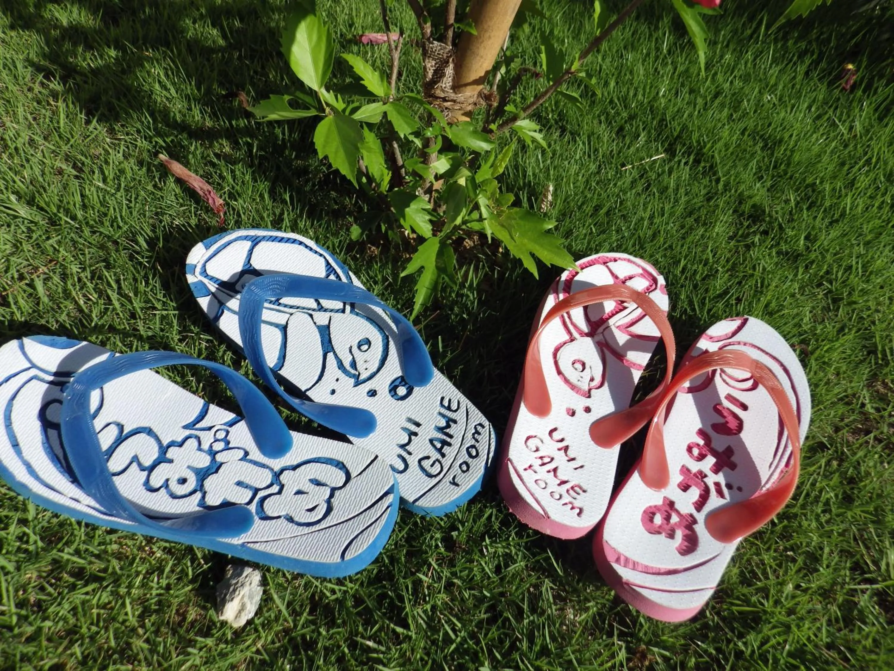 Other in Churaumi Village