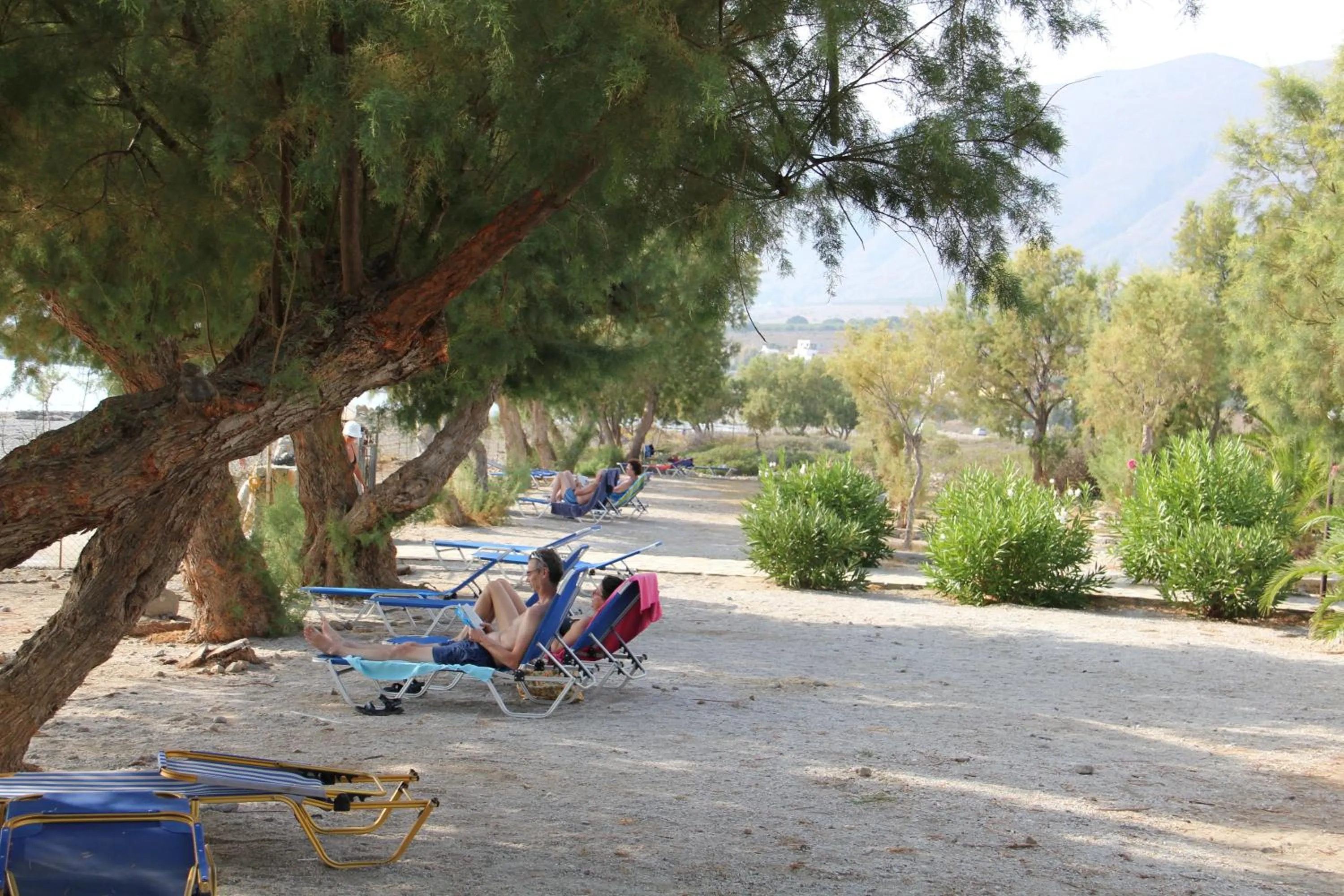 Garden in Studios Stavris