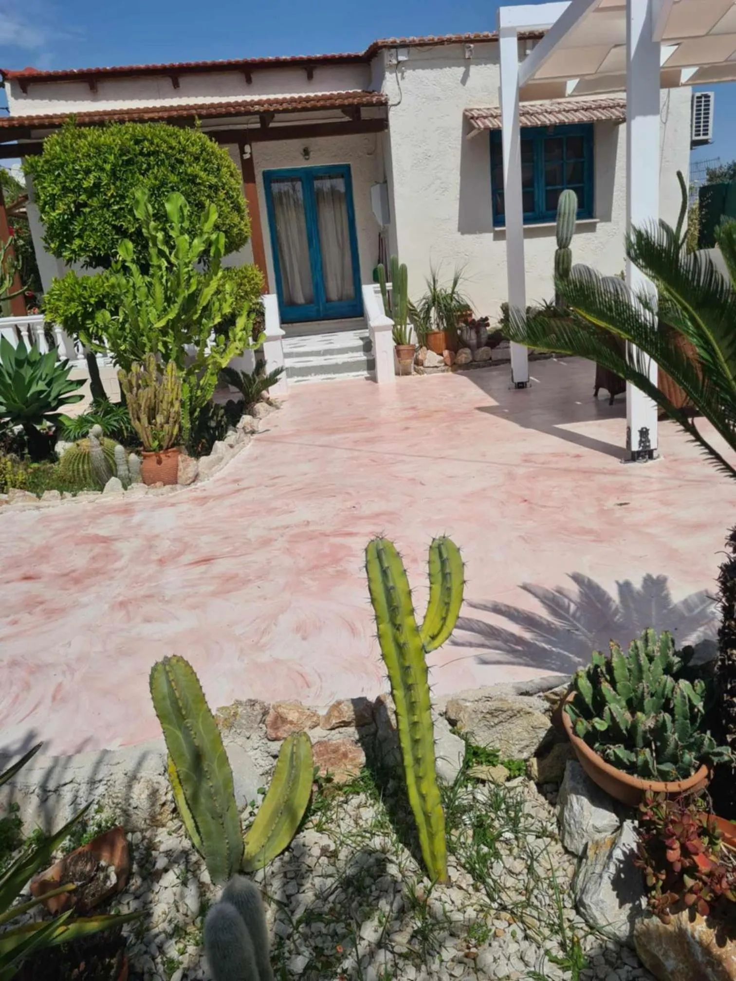 Cactus Living