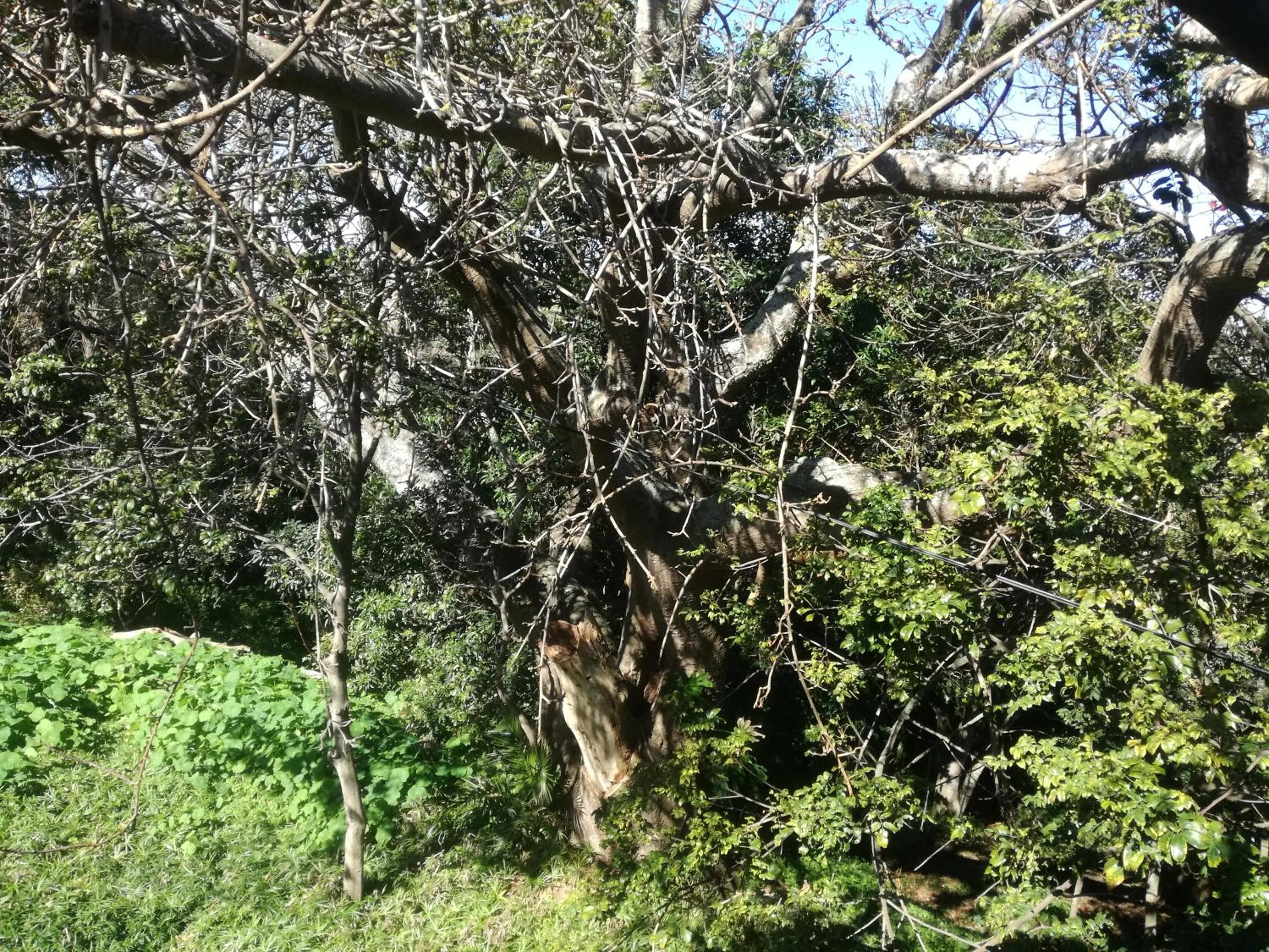 Natural landscape in Valley Guest House