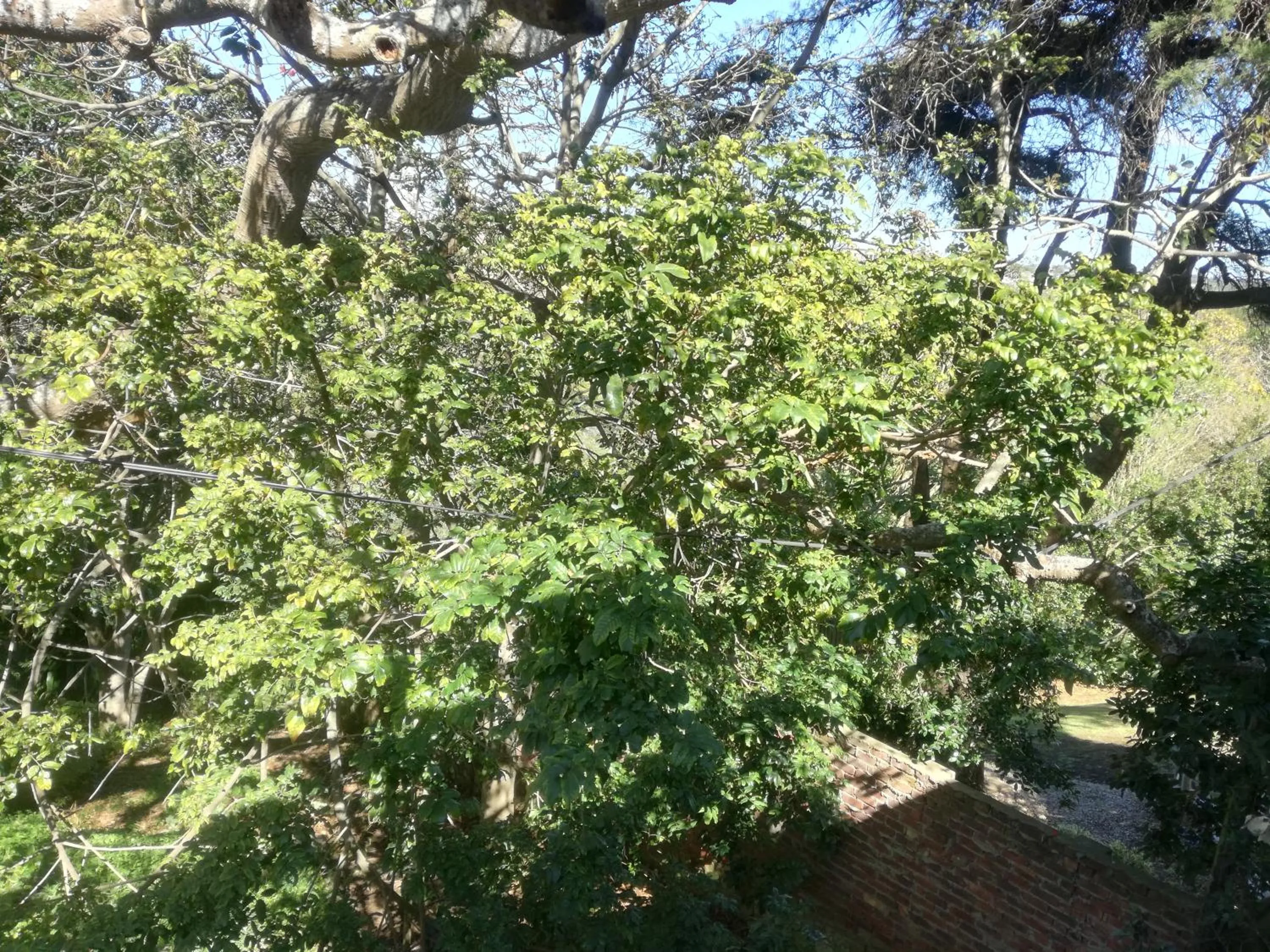 Natural landscape in Valley Guest House