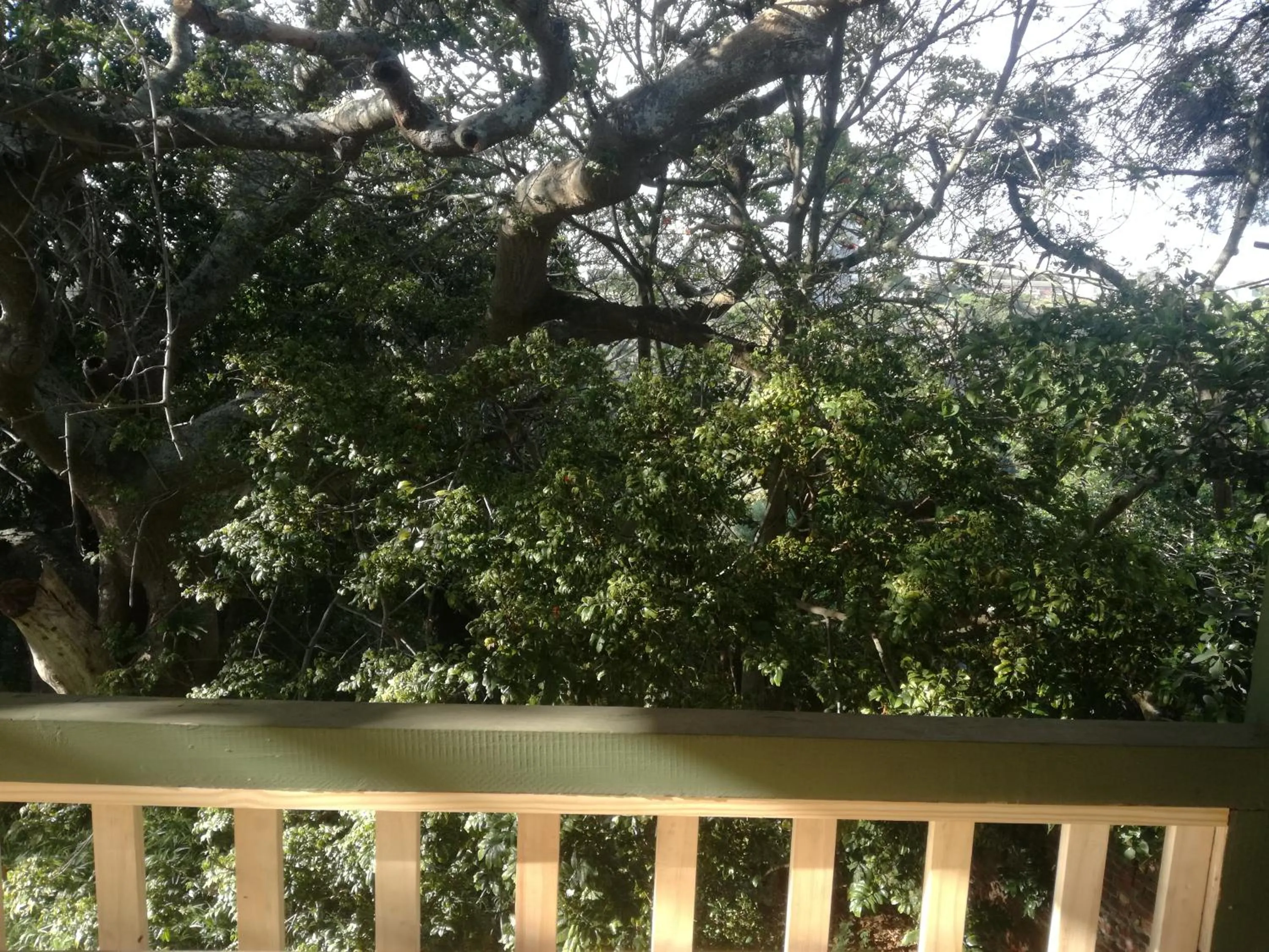 Garden in Valley Guest House