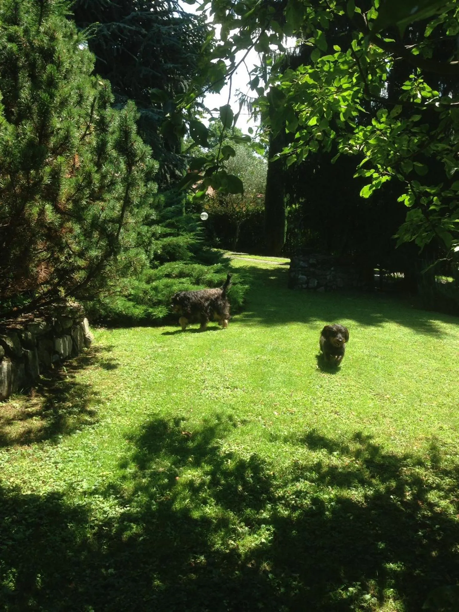 Two-Bedroom Apartment with Terrace in Il Pioppo Antico