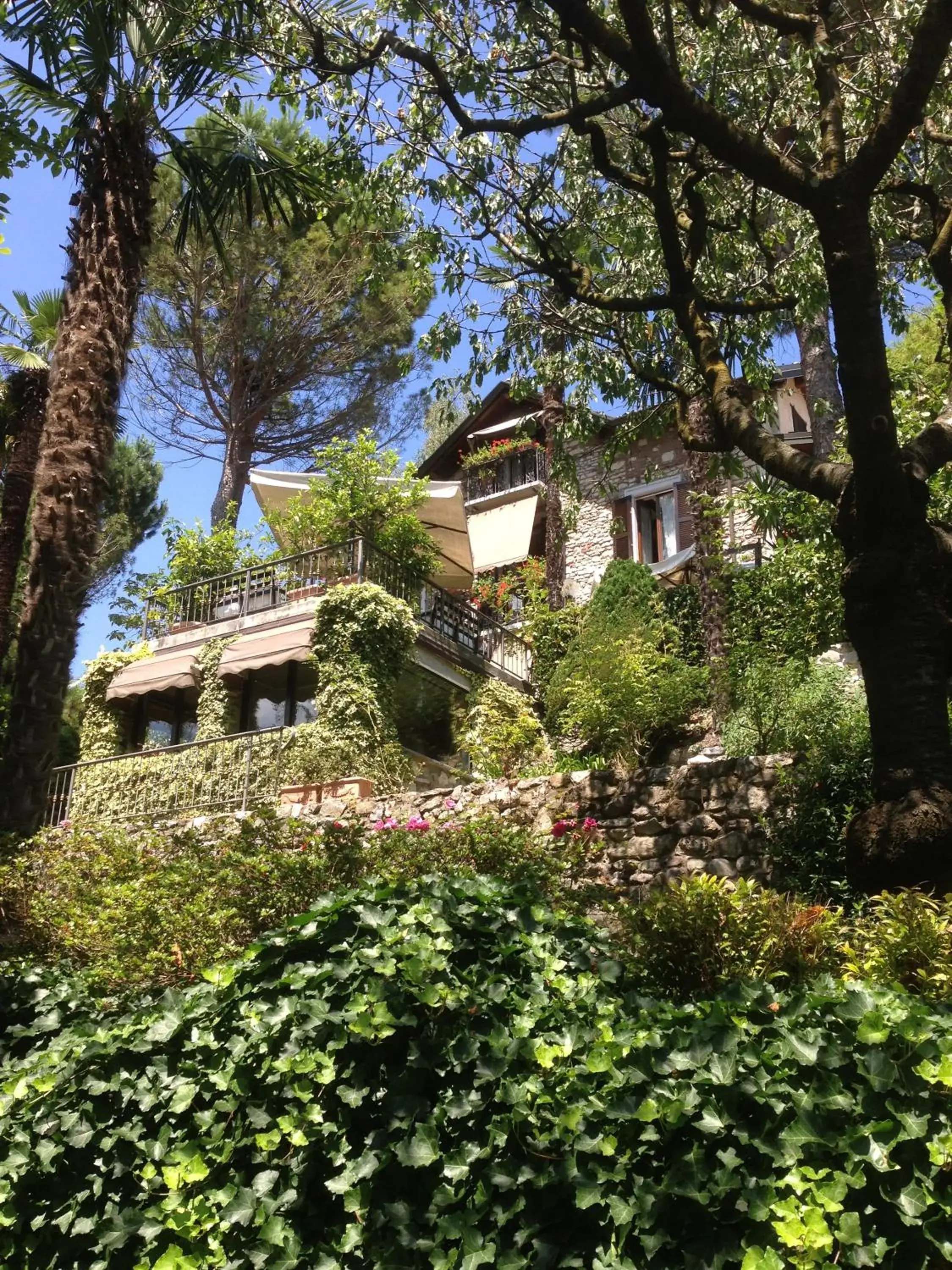 Il Pioppo Antico Il Pioppo Antico