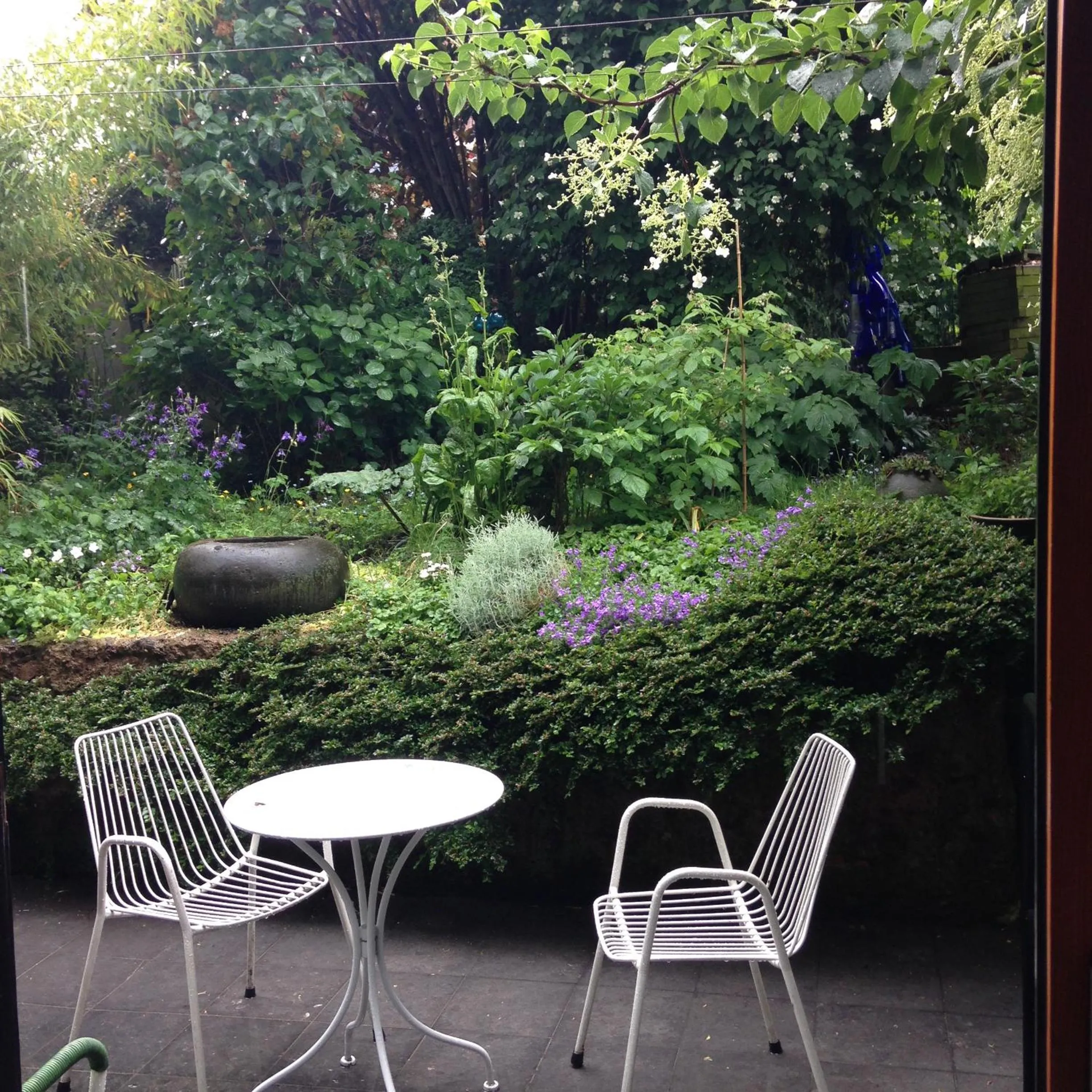 View (from property/room) in B&B Matin Tranquille